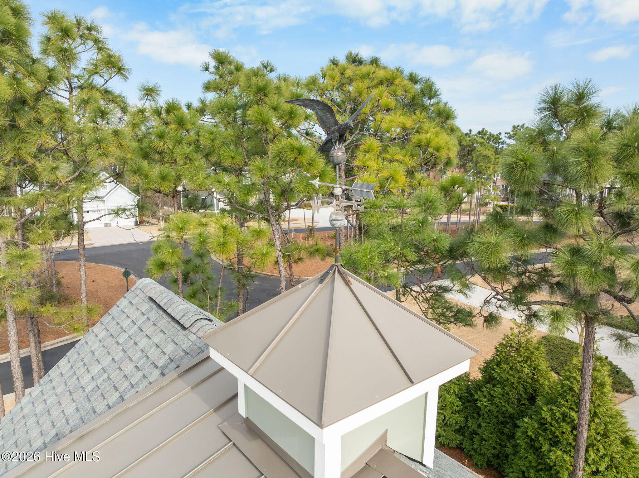 100552329 | Photo 73