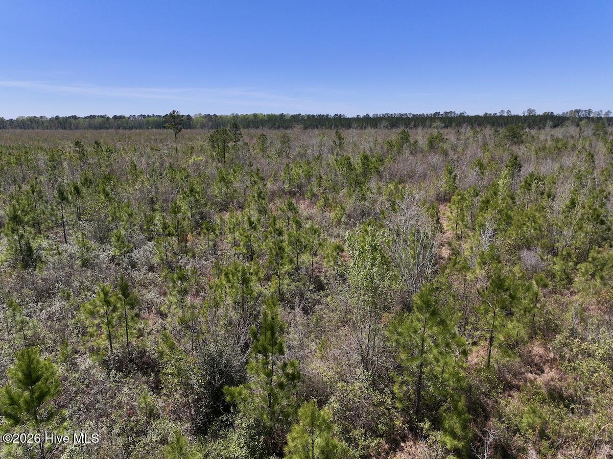 0 Guinea Mill Road, Ernul, NC, 28527