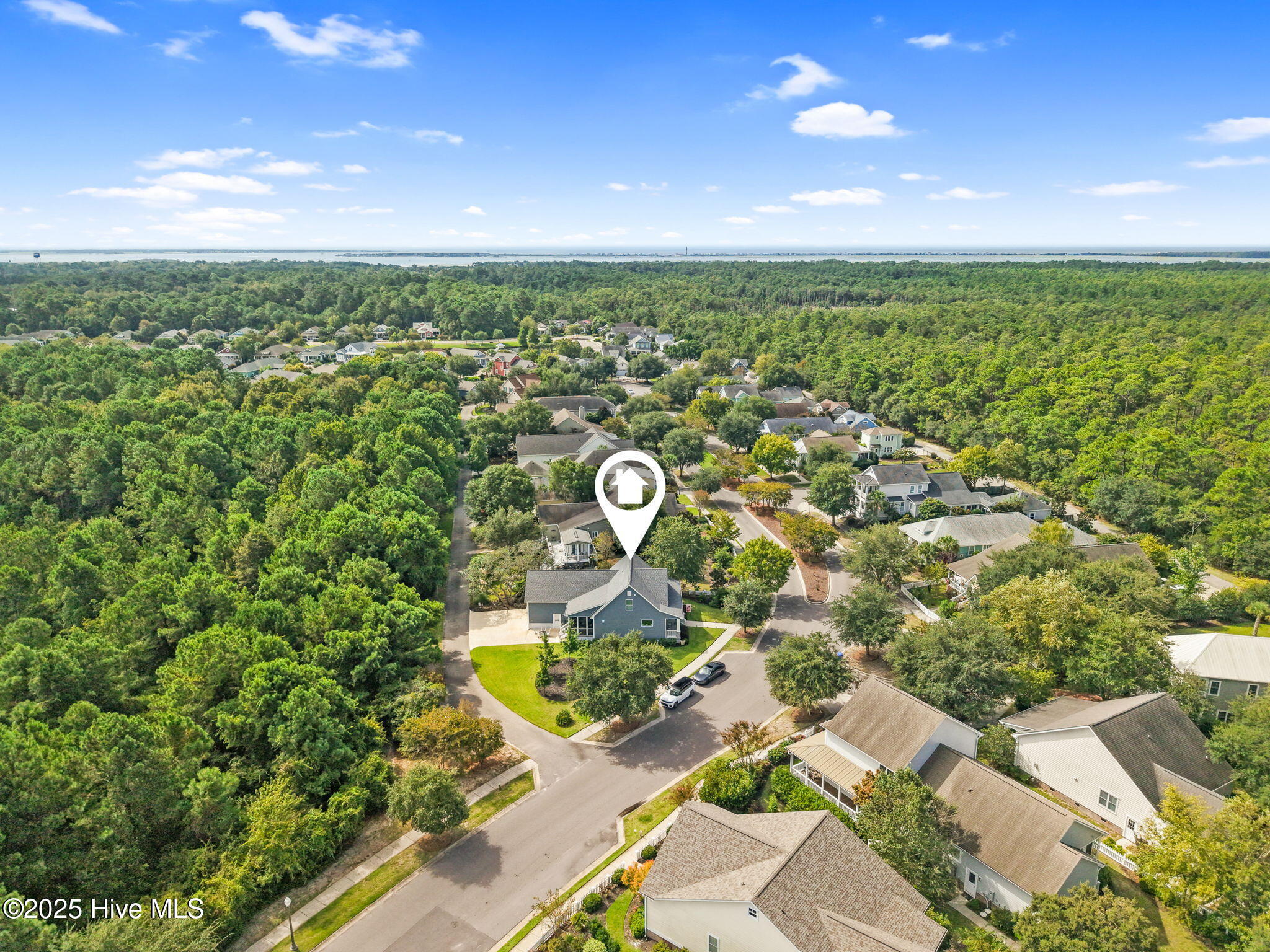 100530227 | Photo 11