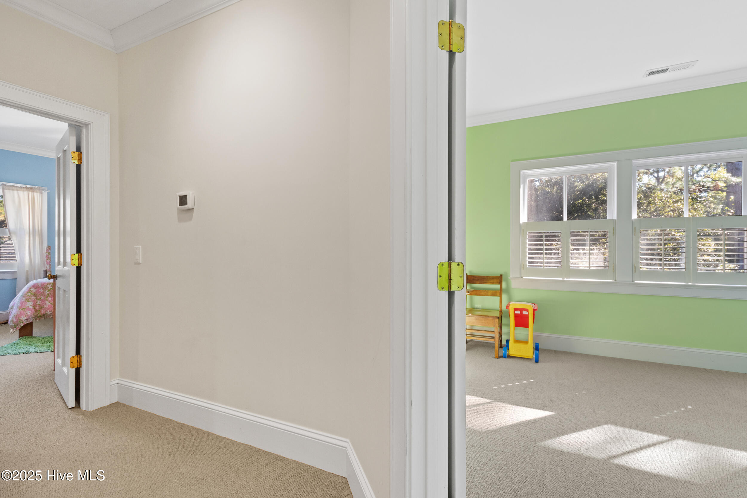 100540222 | Photo 56