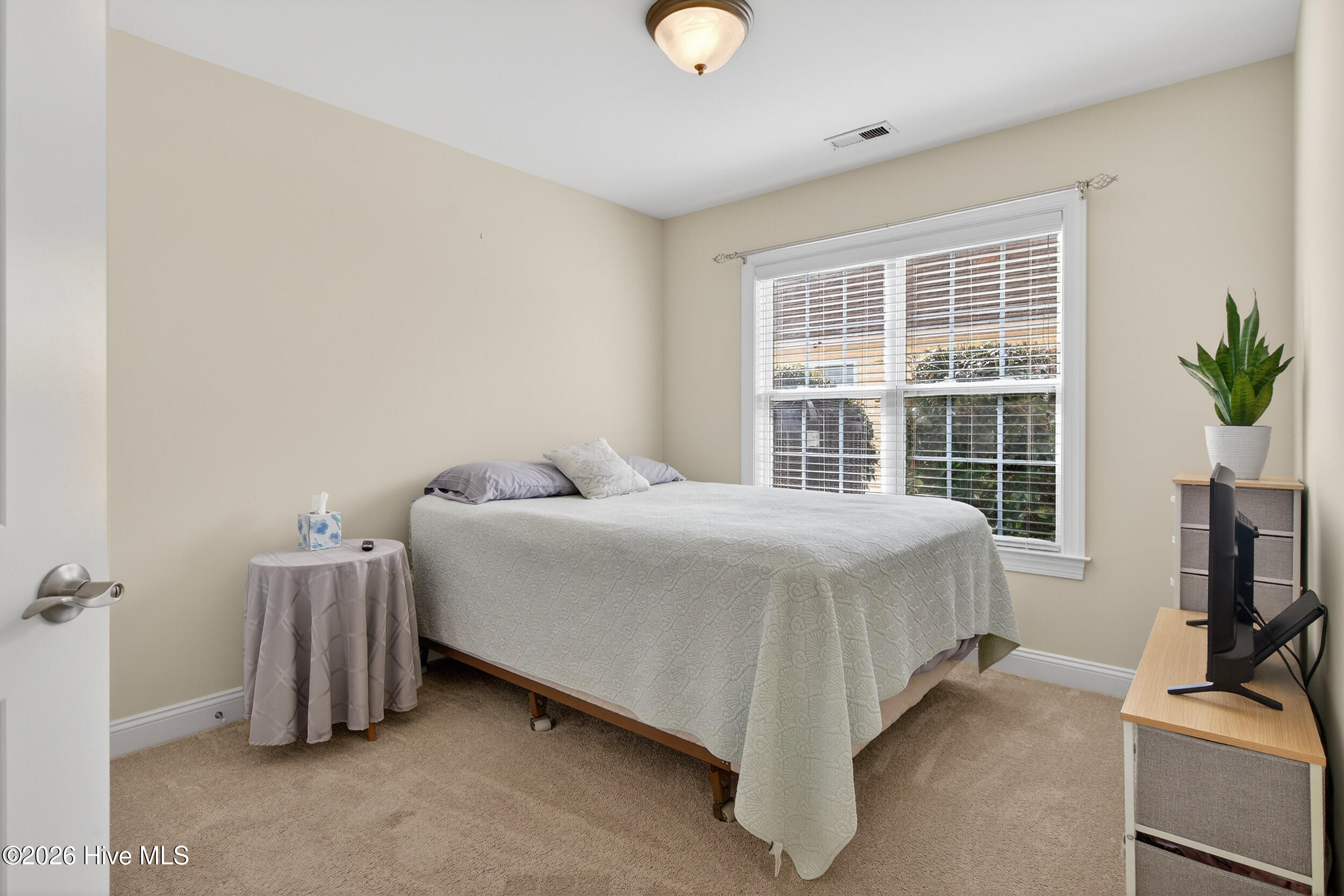 100560806 | Photo 14