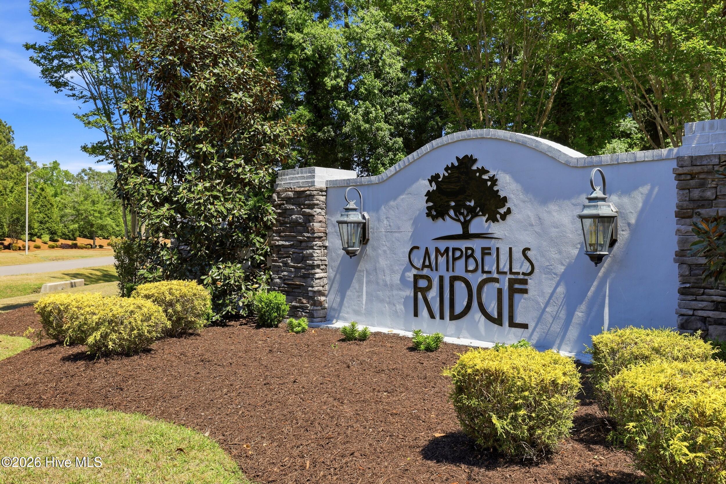 100569213 | Photo 54