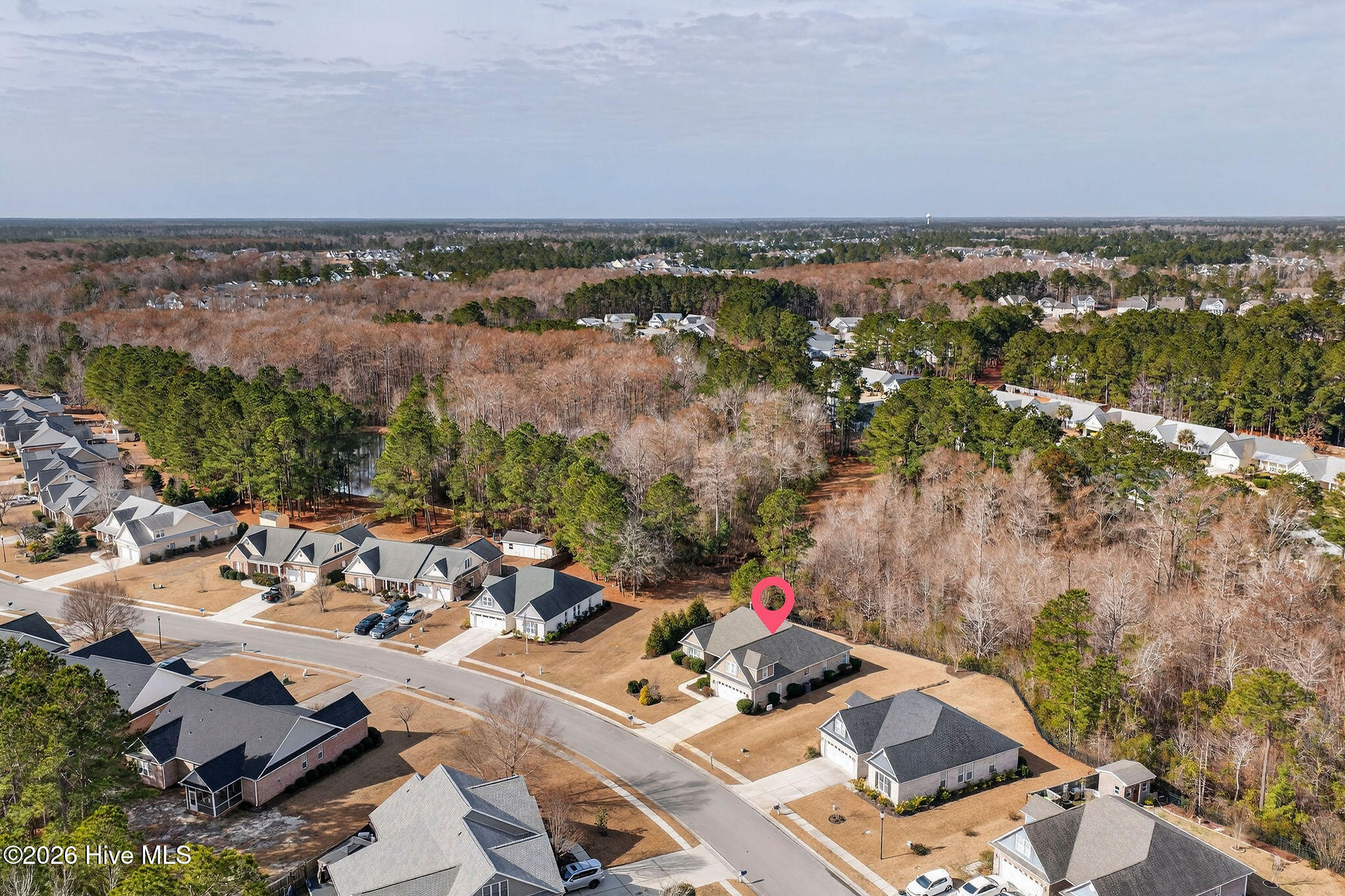 100558265 | Photo 59