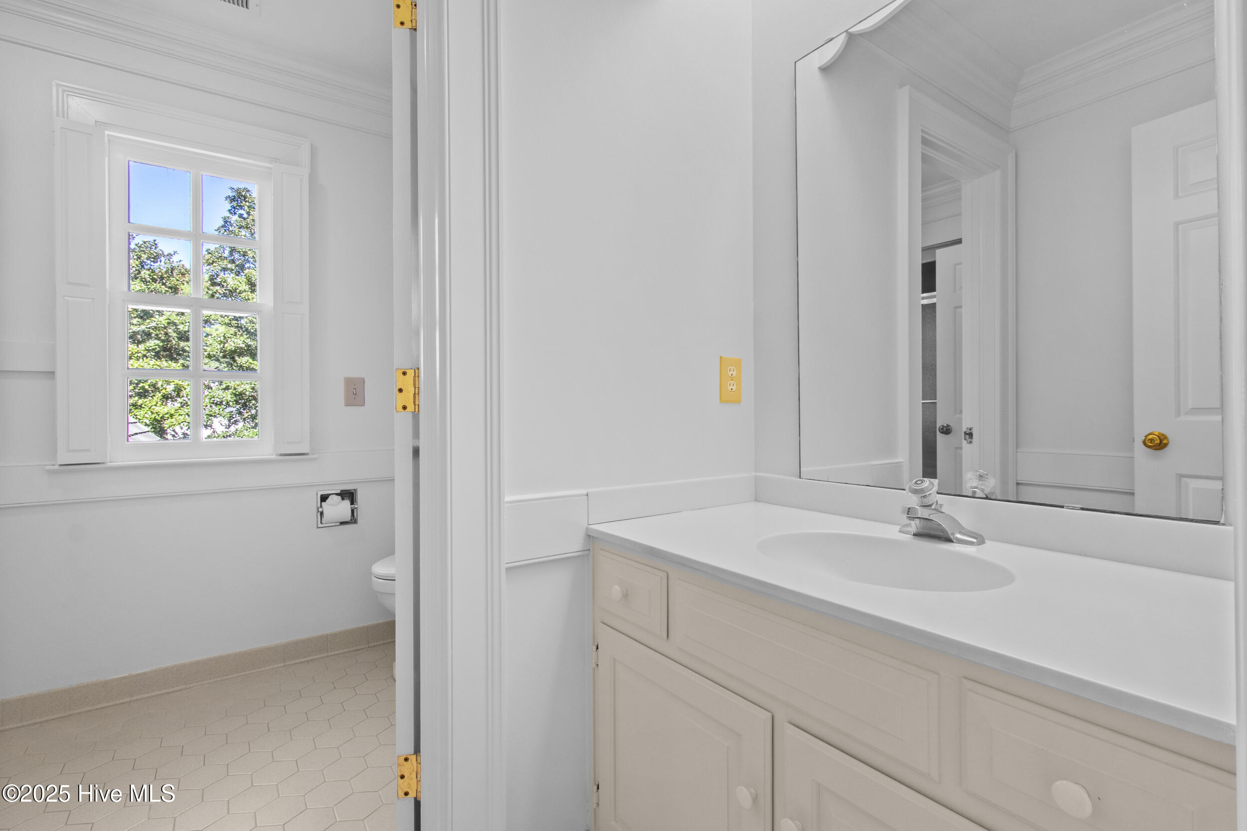 100537664 | Photo 51