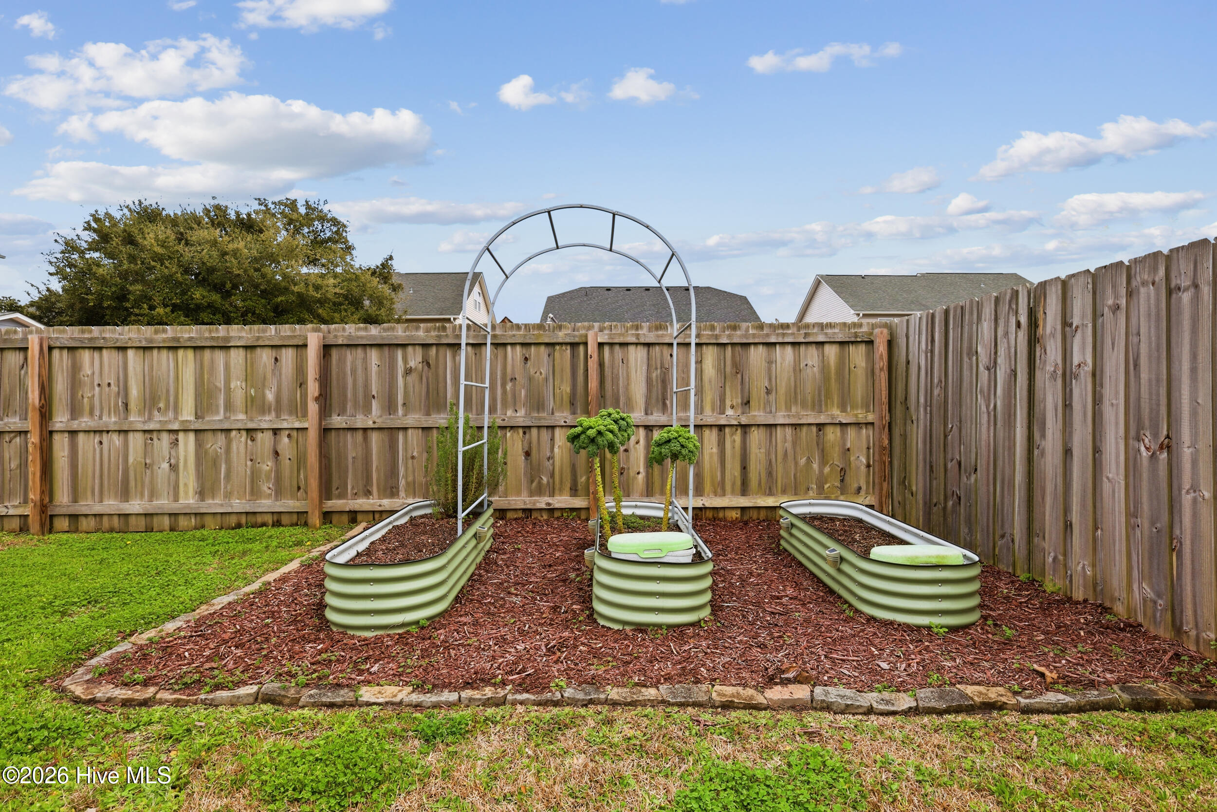 100565855 | Photo 39