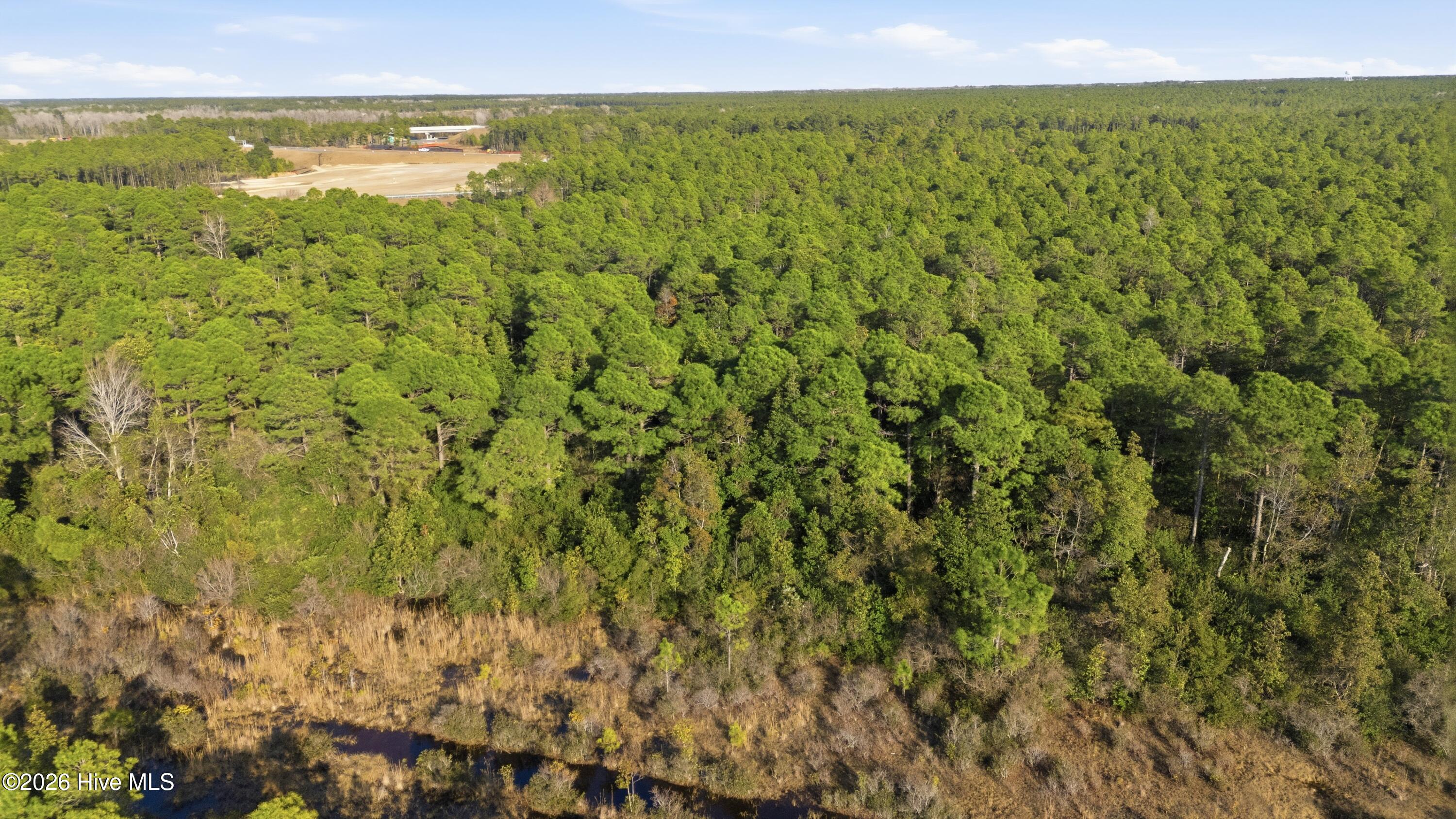 100554179 | Photo 10