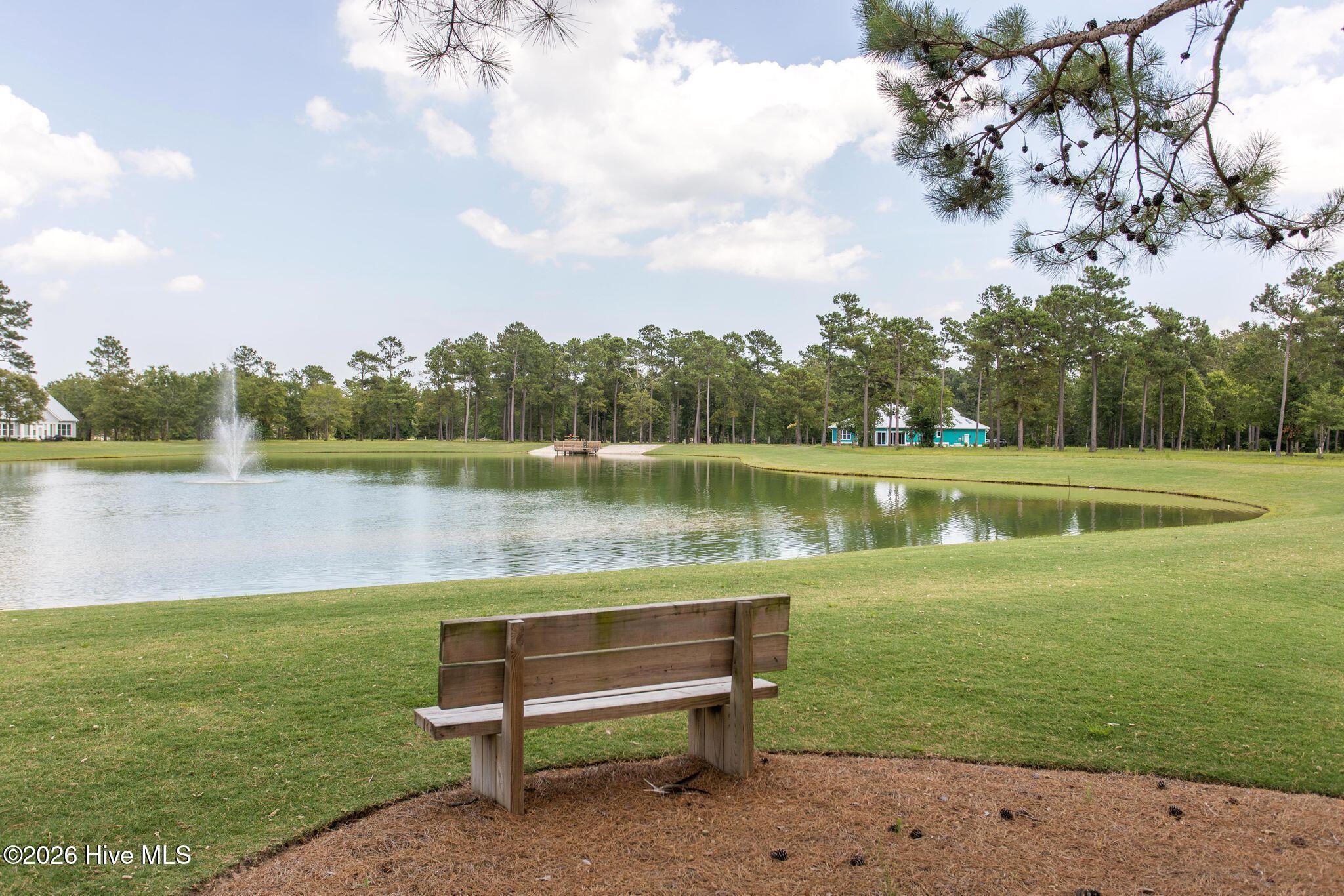 100569004 | Photo 114