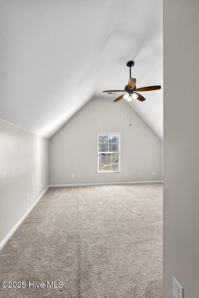 100536602 | Photo 33