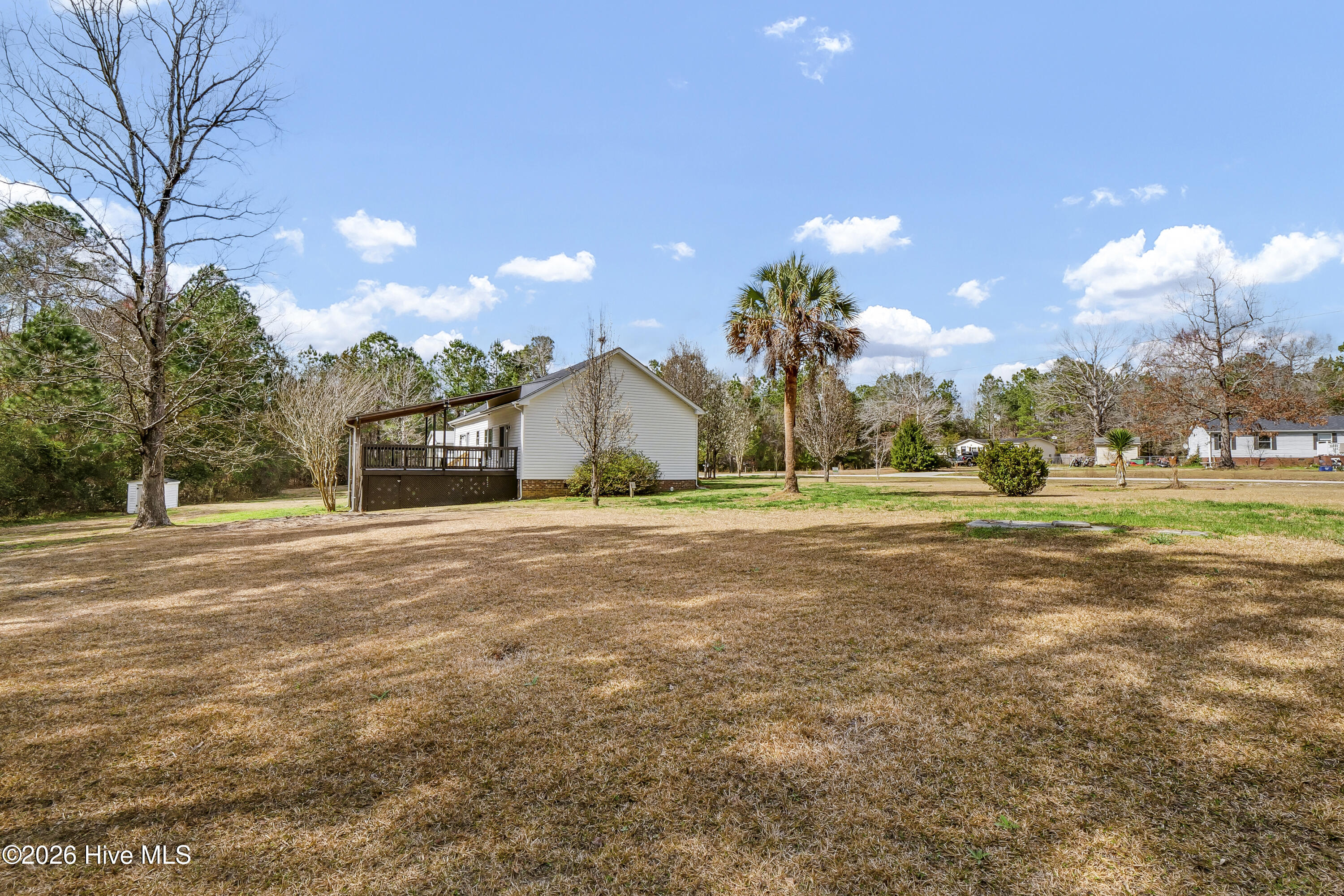 100559268 | Photo 32