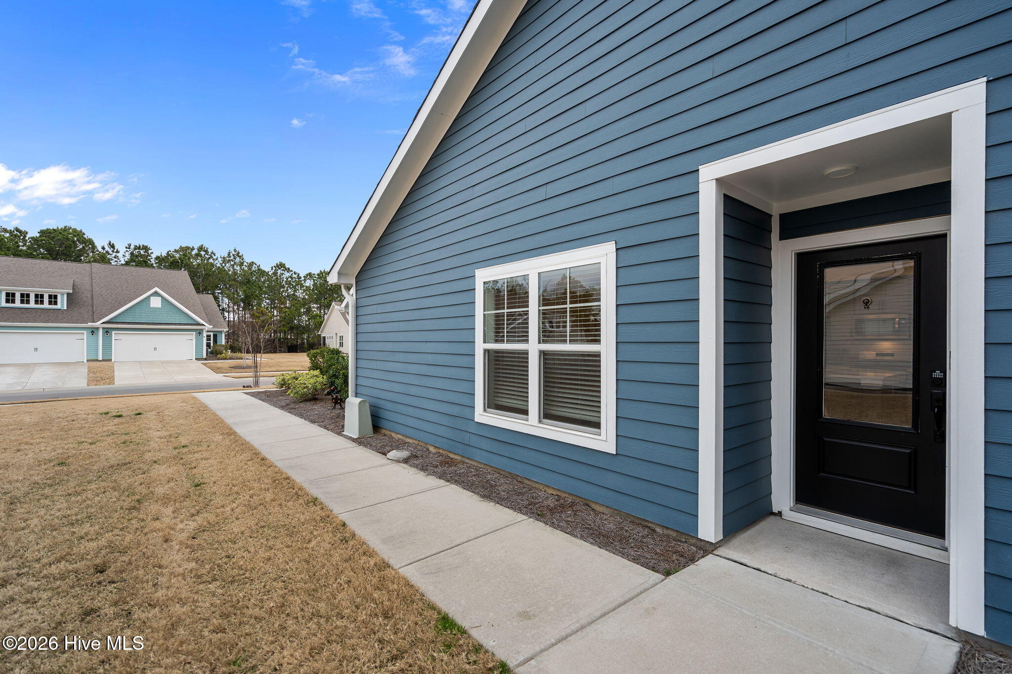 100558026 | Photo 13