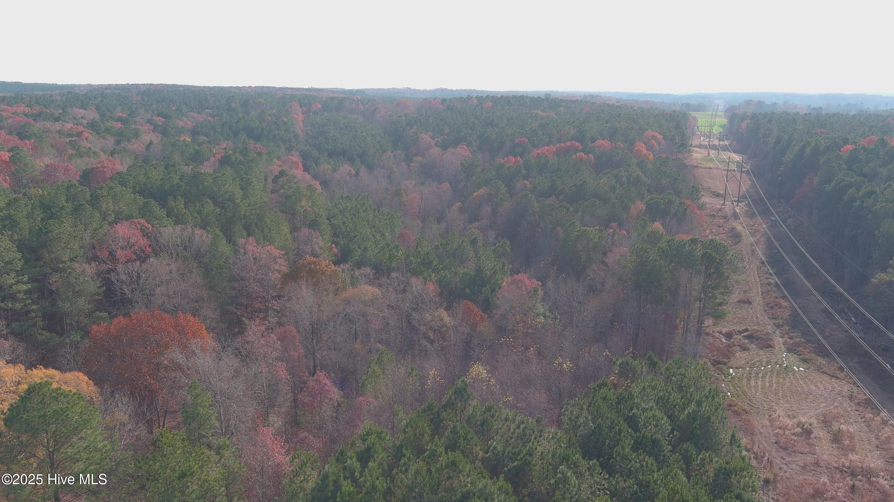 Homes for sale in Sanford, NC | Tbd Lick Creek Rd, Sanford, NC 27330 | MLS# 100542417