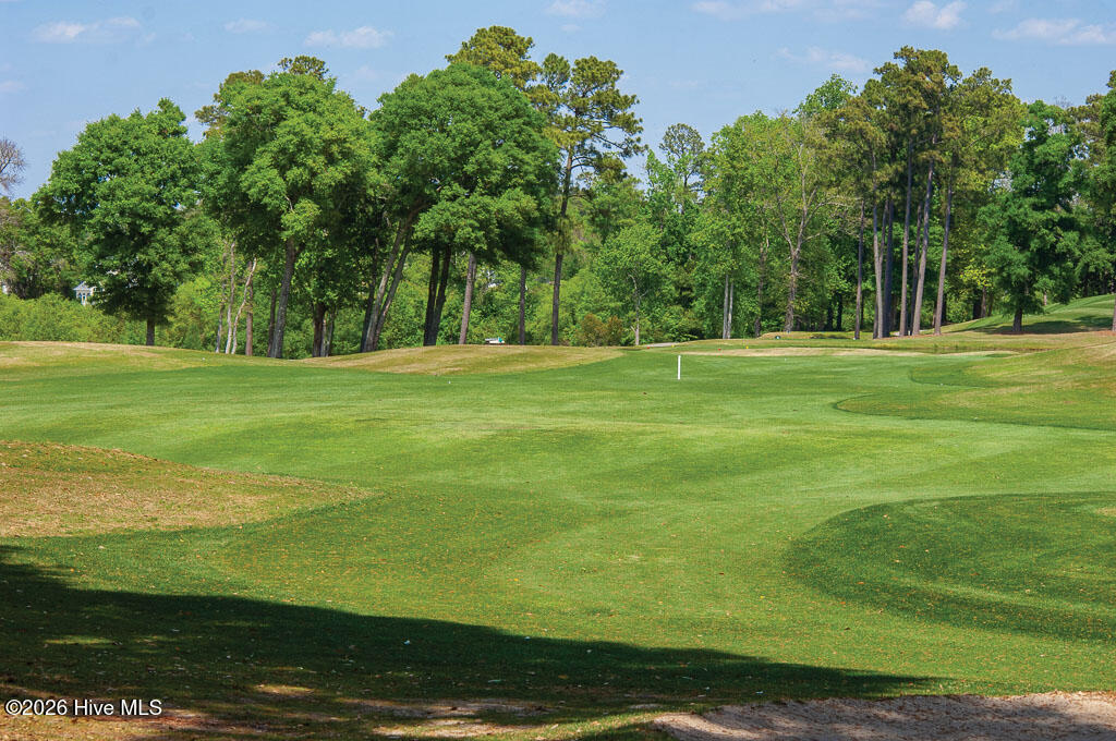 100562919 | Photo 105