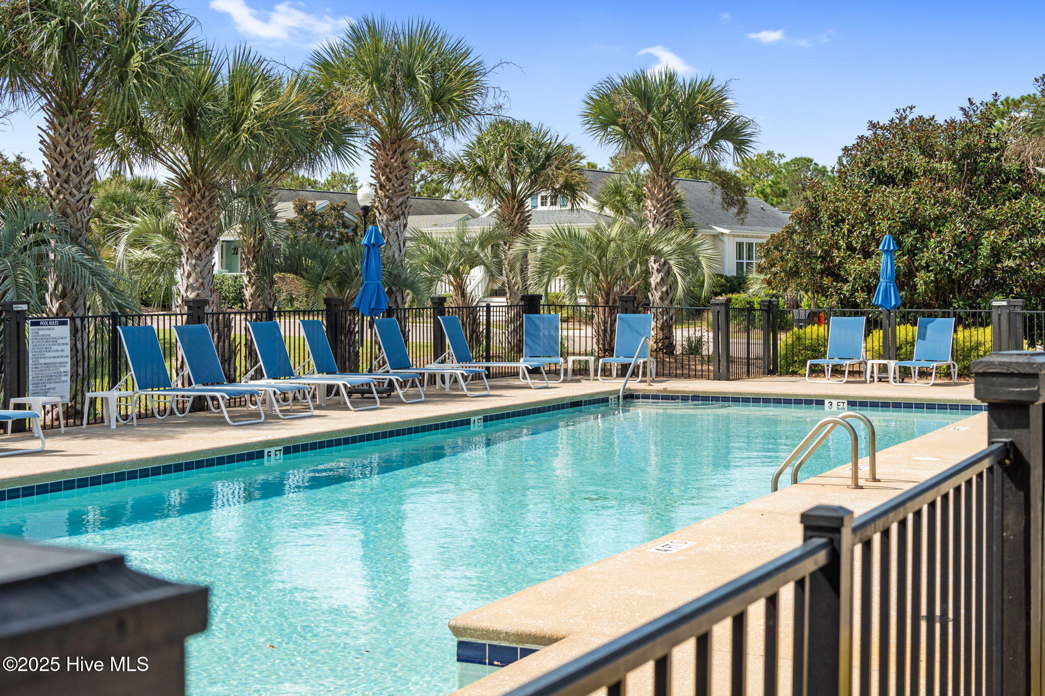 100541992 | Photo 83