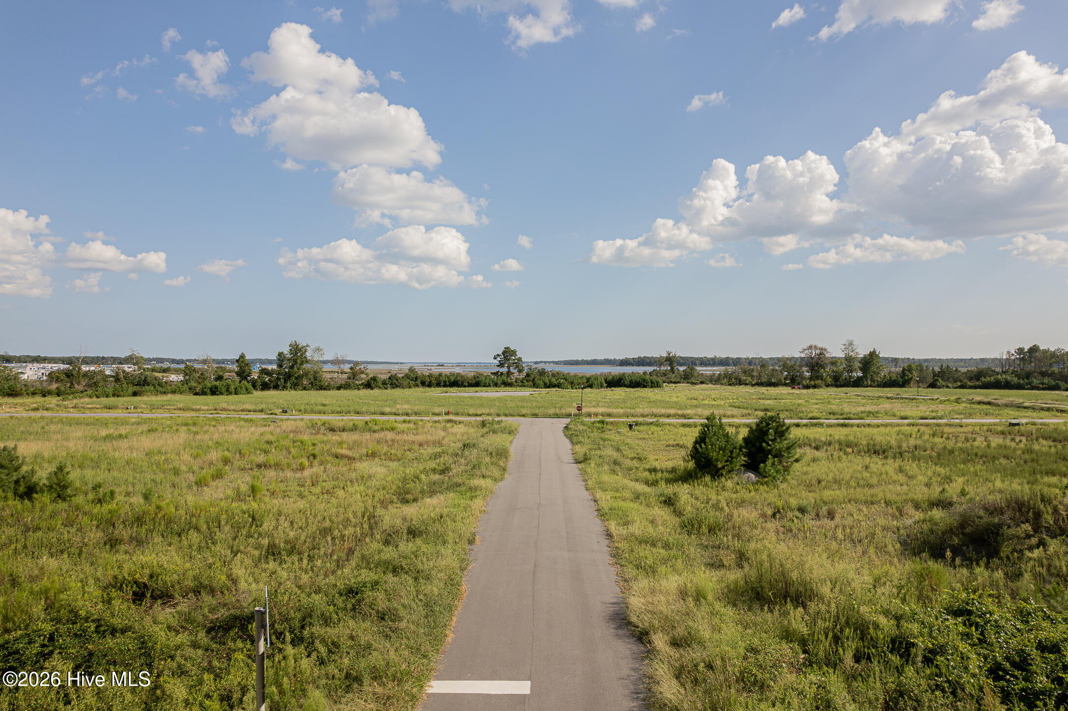 100605068 | Photo 2