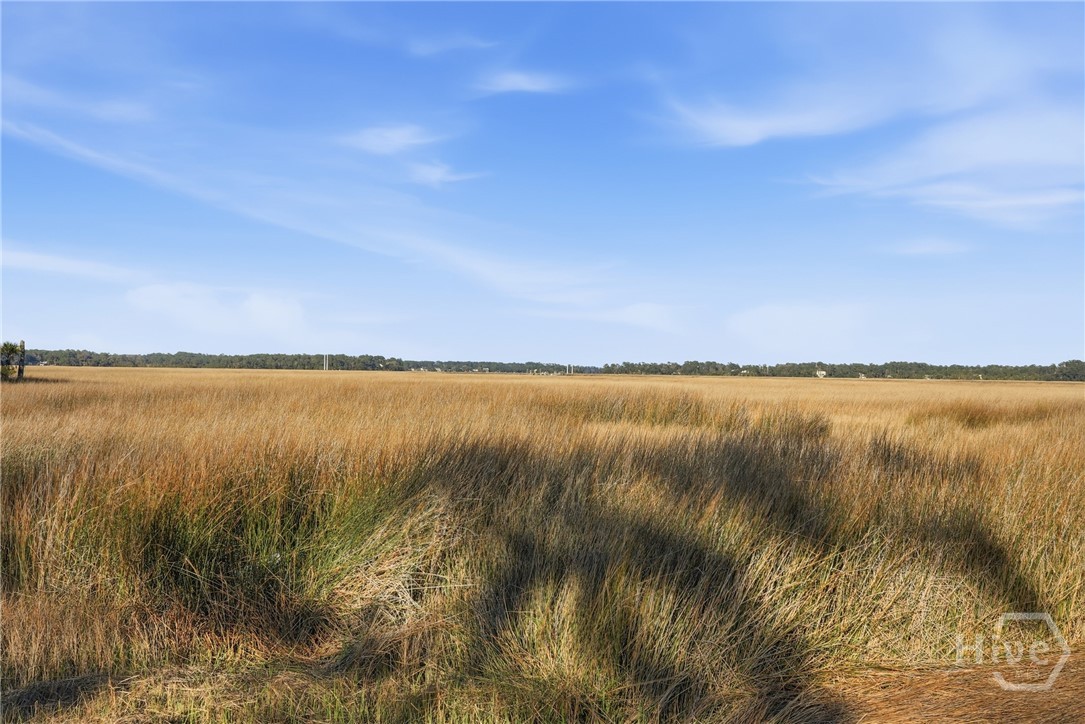 501 Wau Bun Drive, Savannah, GA, 31419