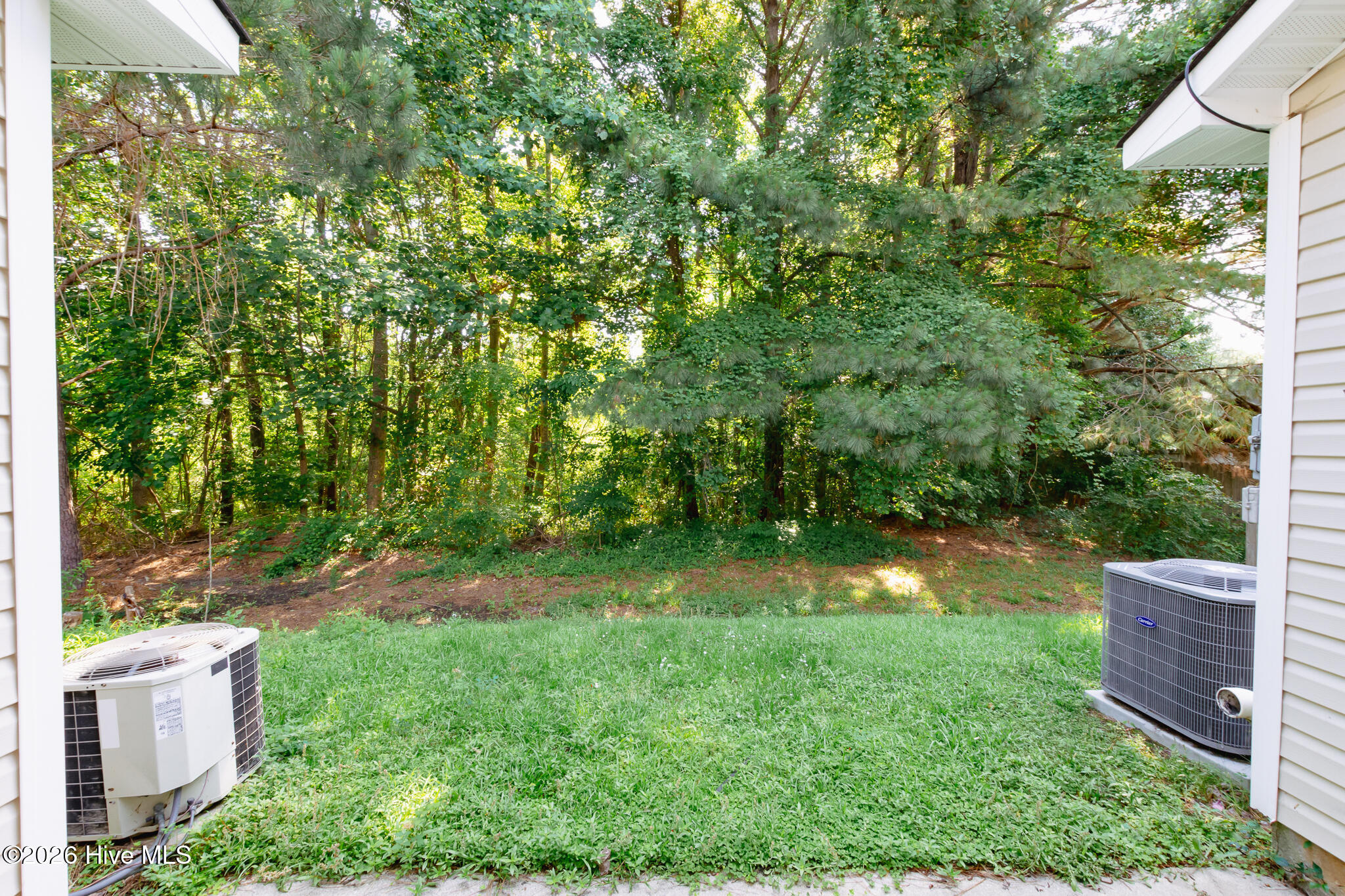 100573392 | Photo 23