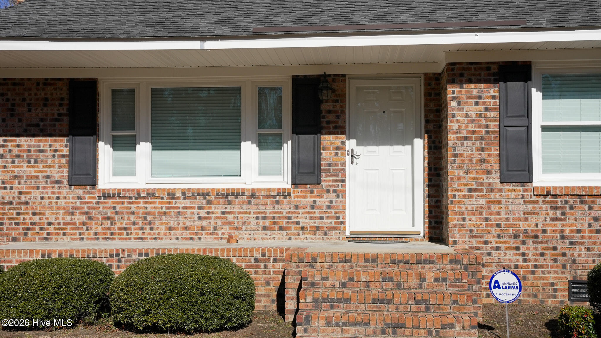 100554876 | Photo 15