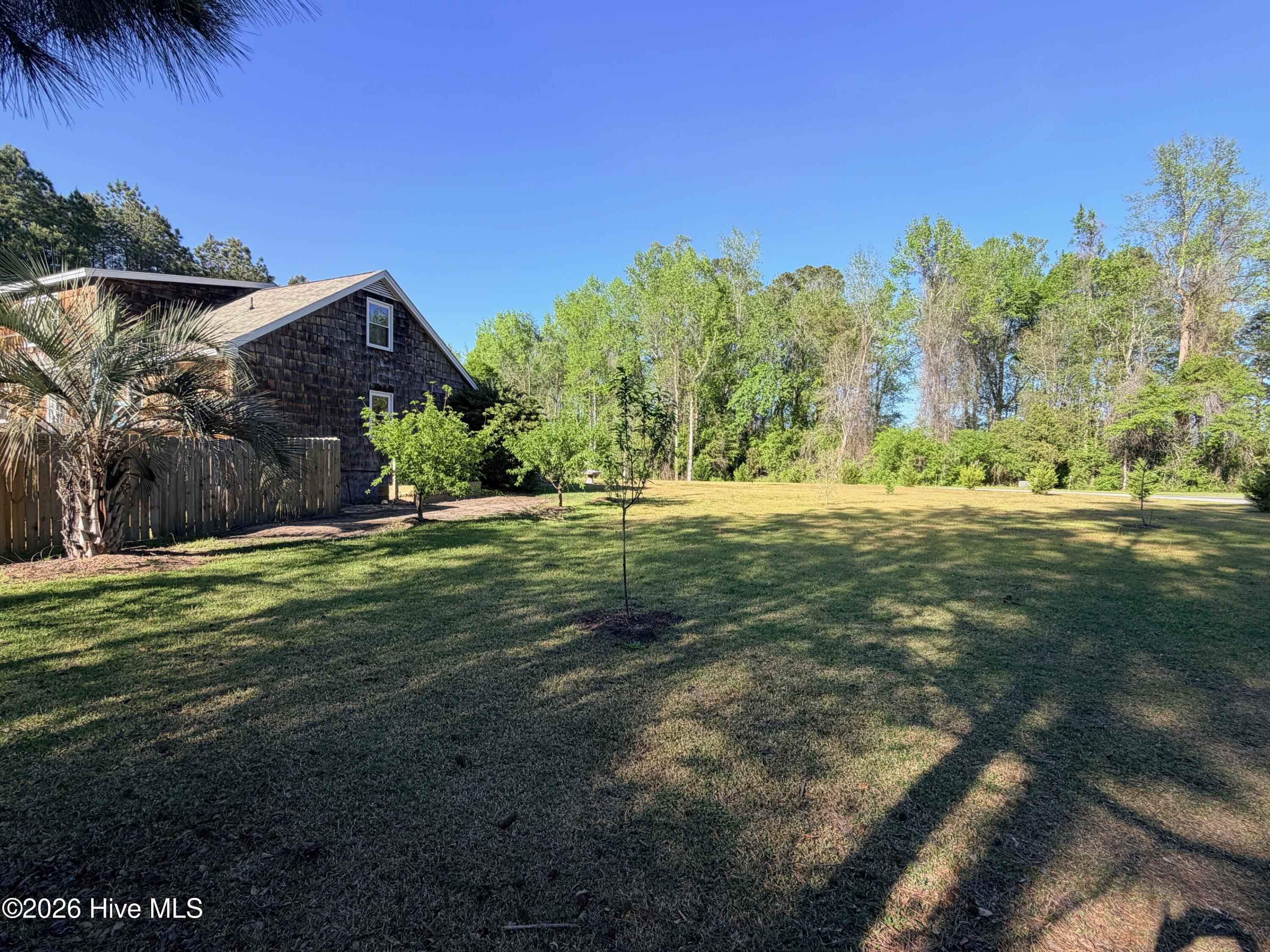 100565129 | Photo 99