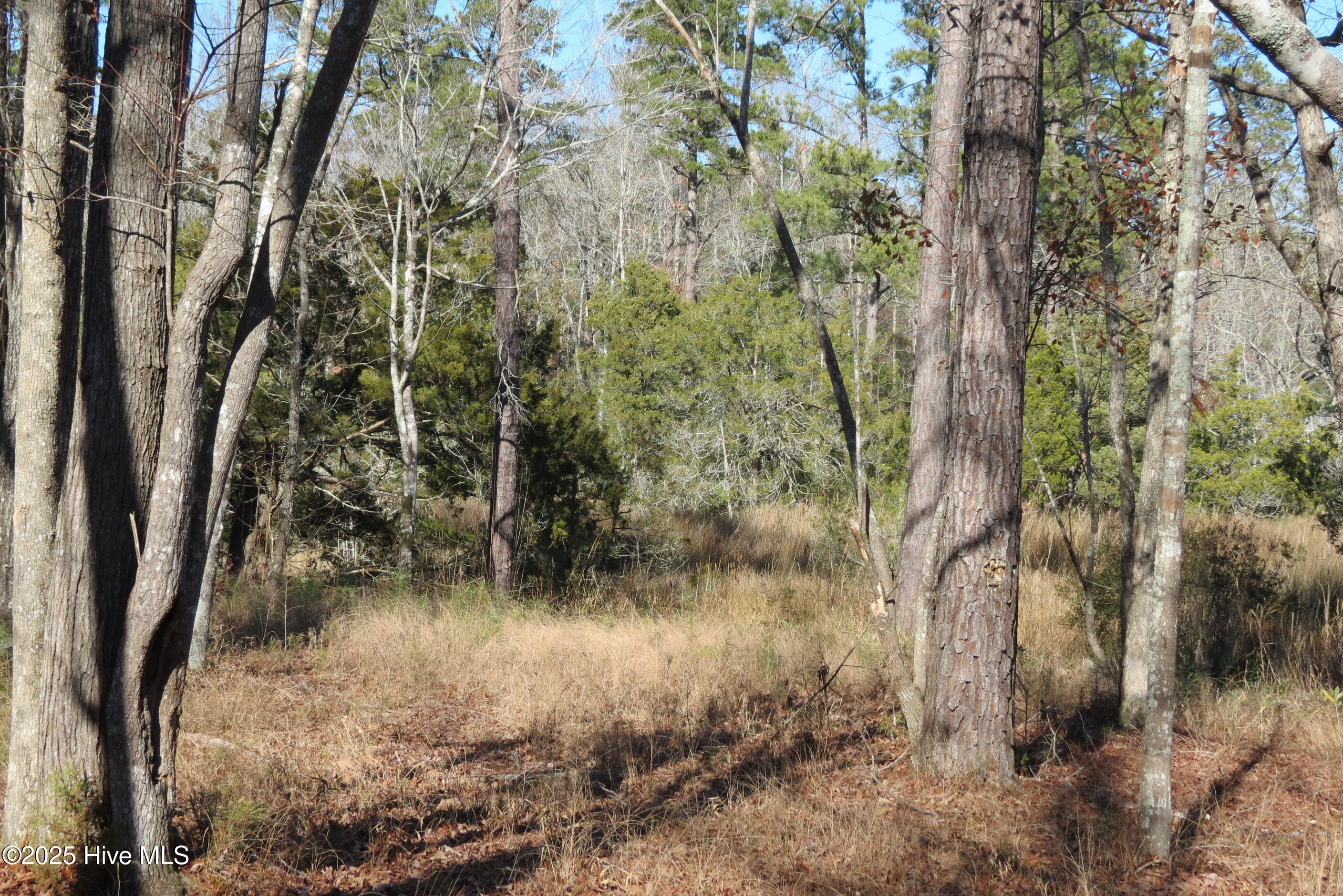 109 Winding Creek Drive, Oriental, NC, 28571