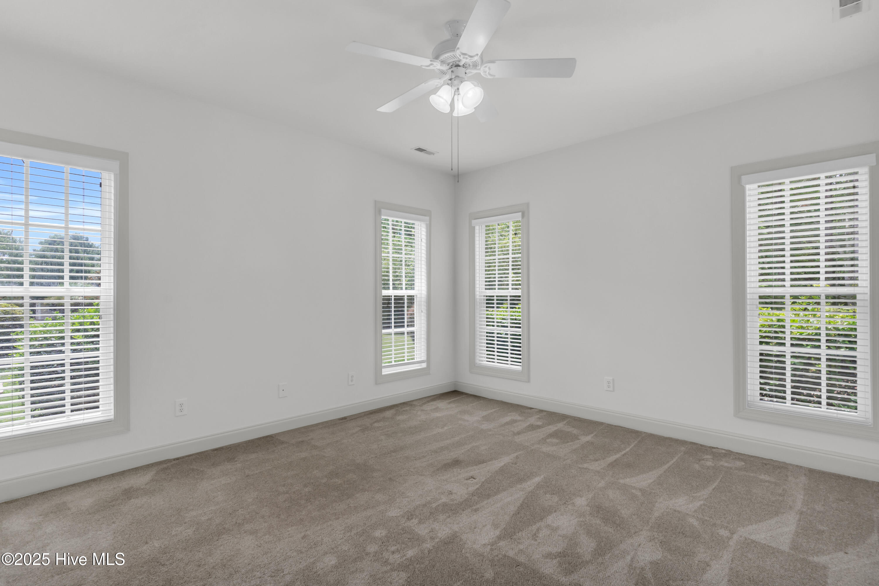 100523896 | Photo 21