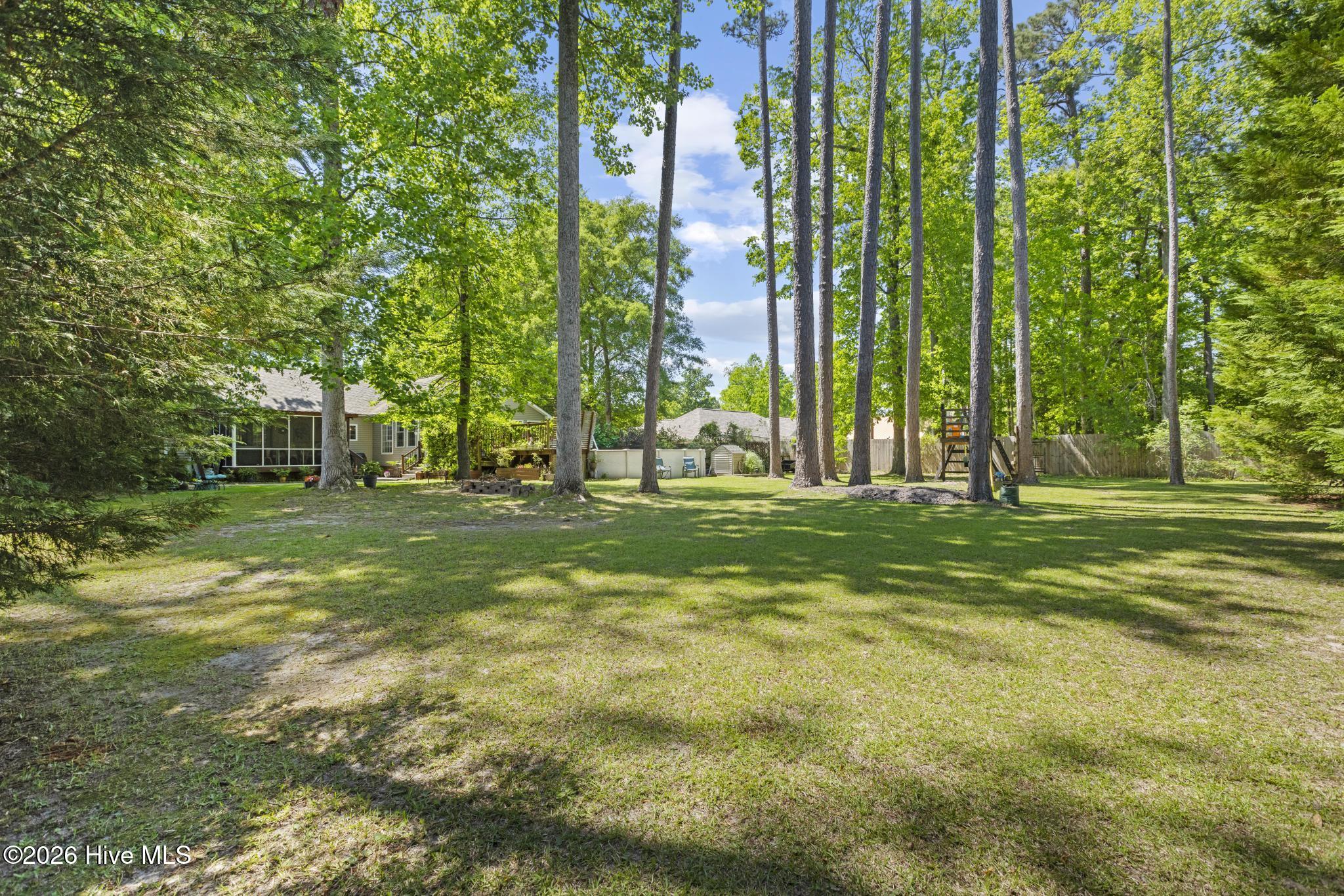 100569223 | Photo 66