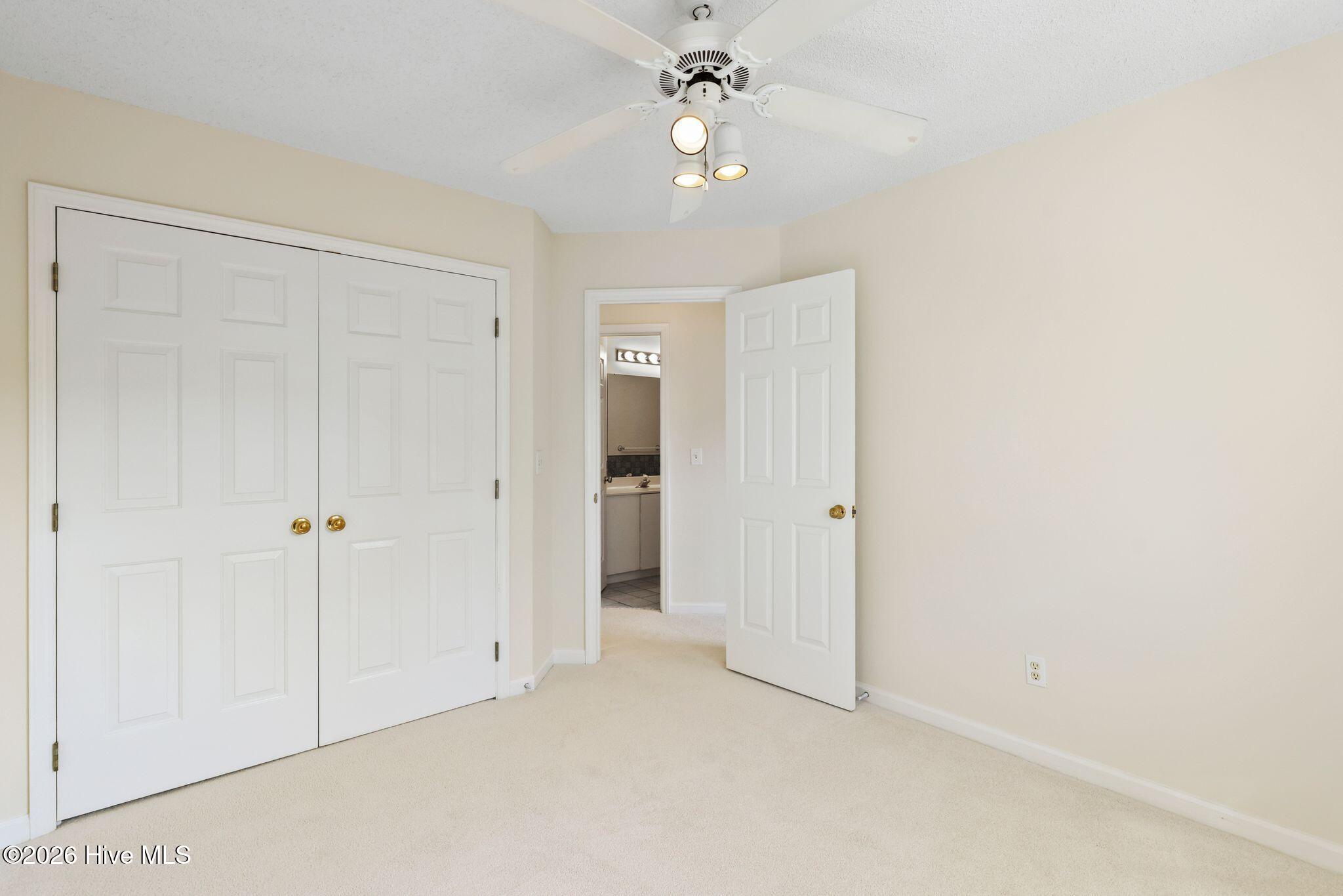 100558031 | Photo 39