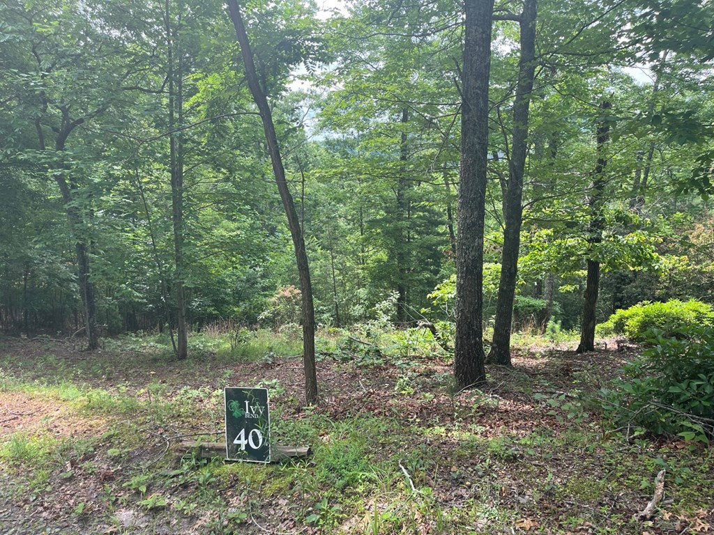 Exterior photo of lot 40 Burger Road, Murphy, NC 28906. MLS: 98524767