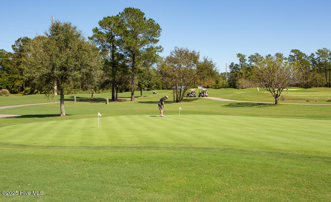 100467747 | Photo 14