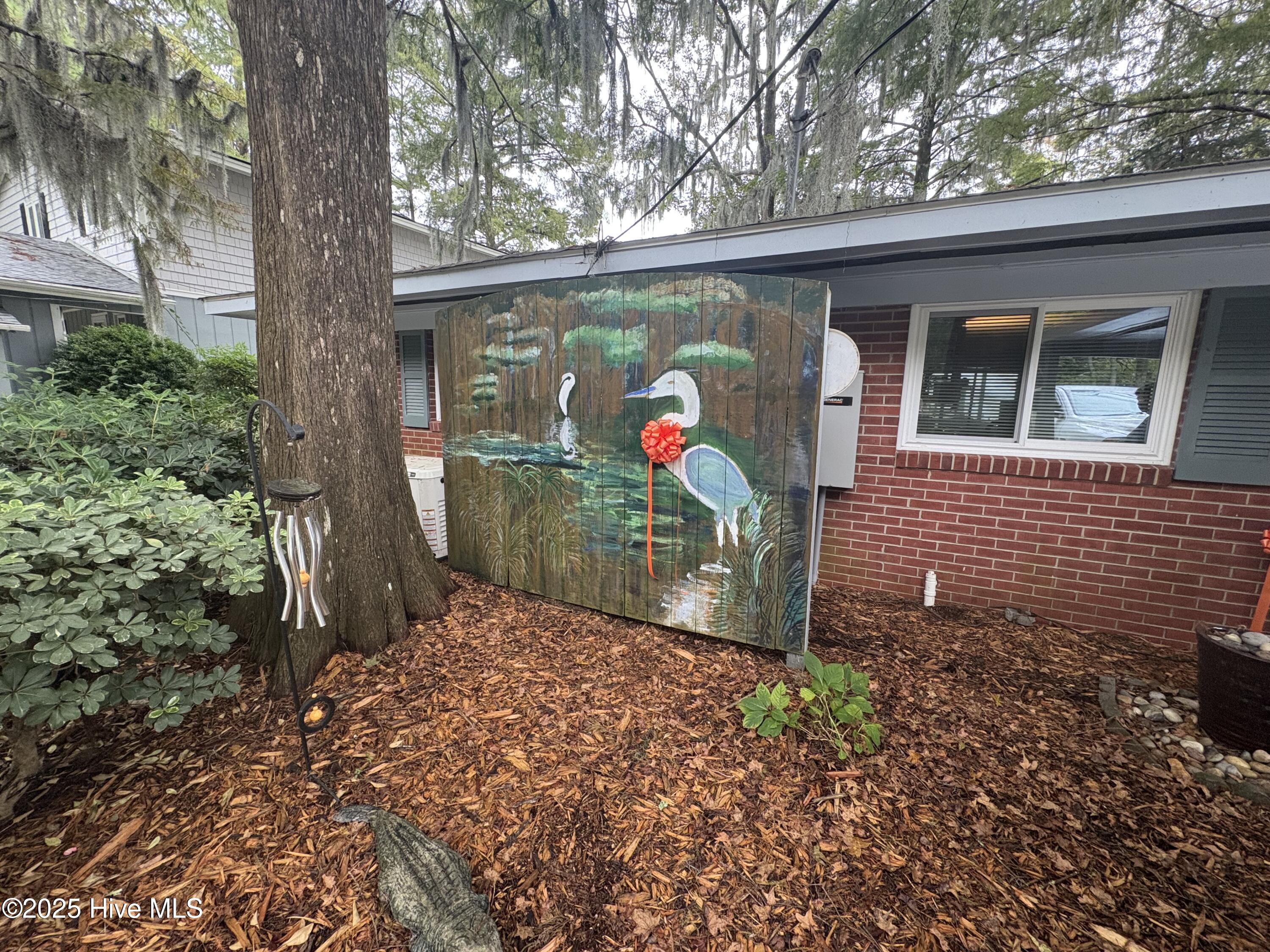 100534974 | Photo 15