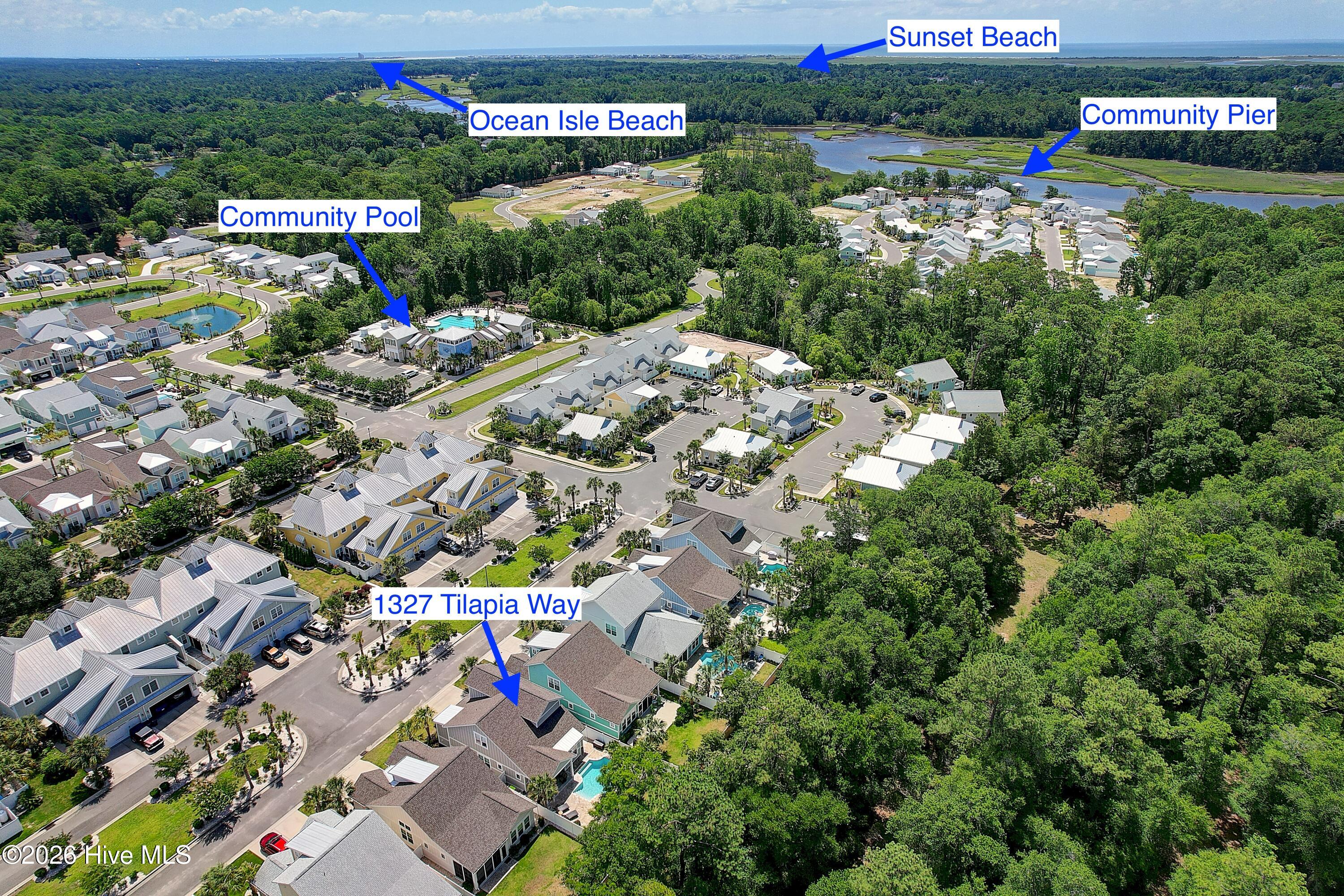 100561295 | Photo 50