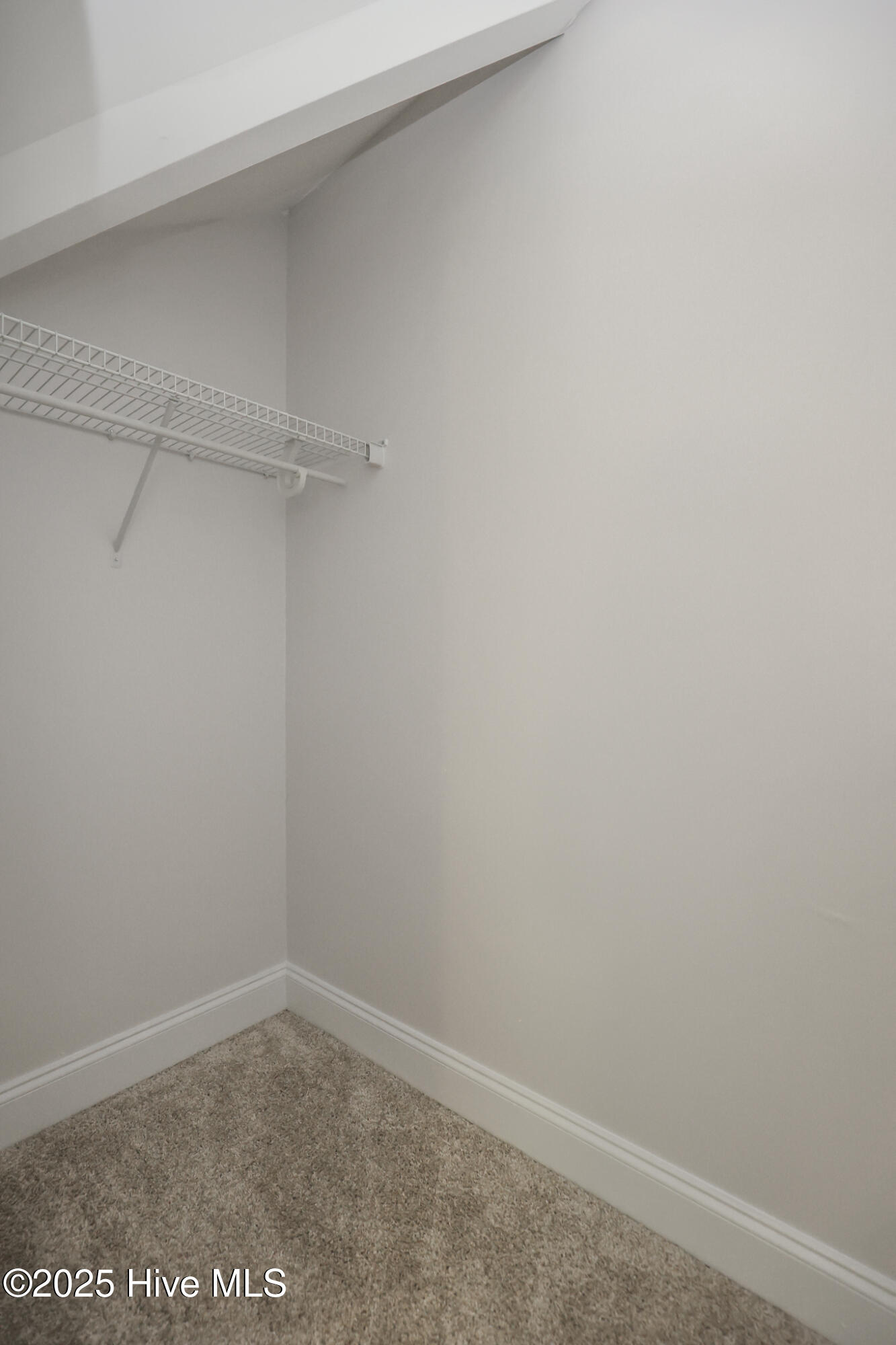 100530782 | Photo 25