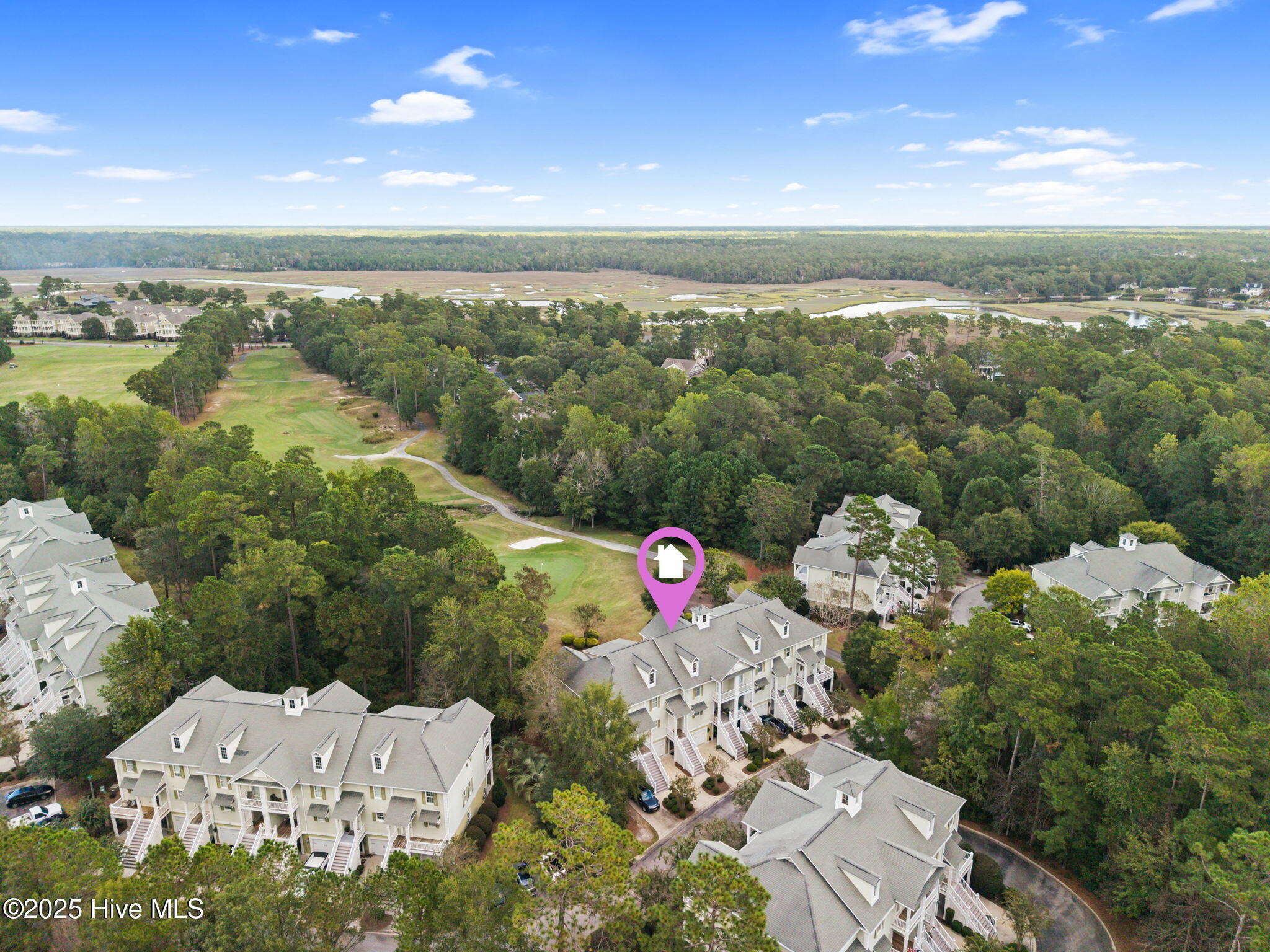 100534473 | Photo 40