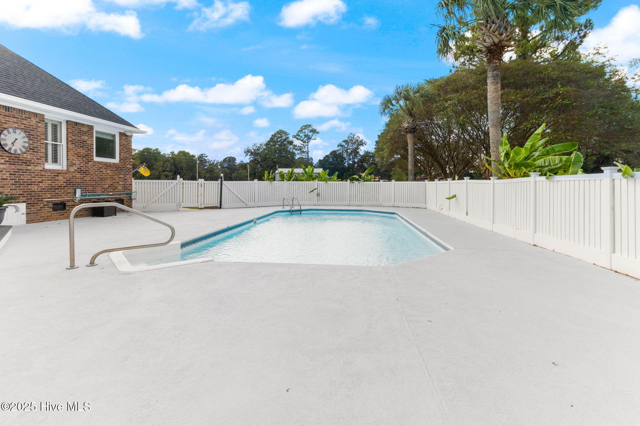 100533905 | Photo 45