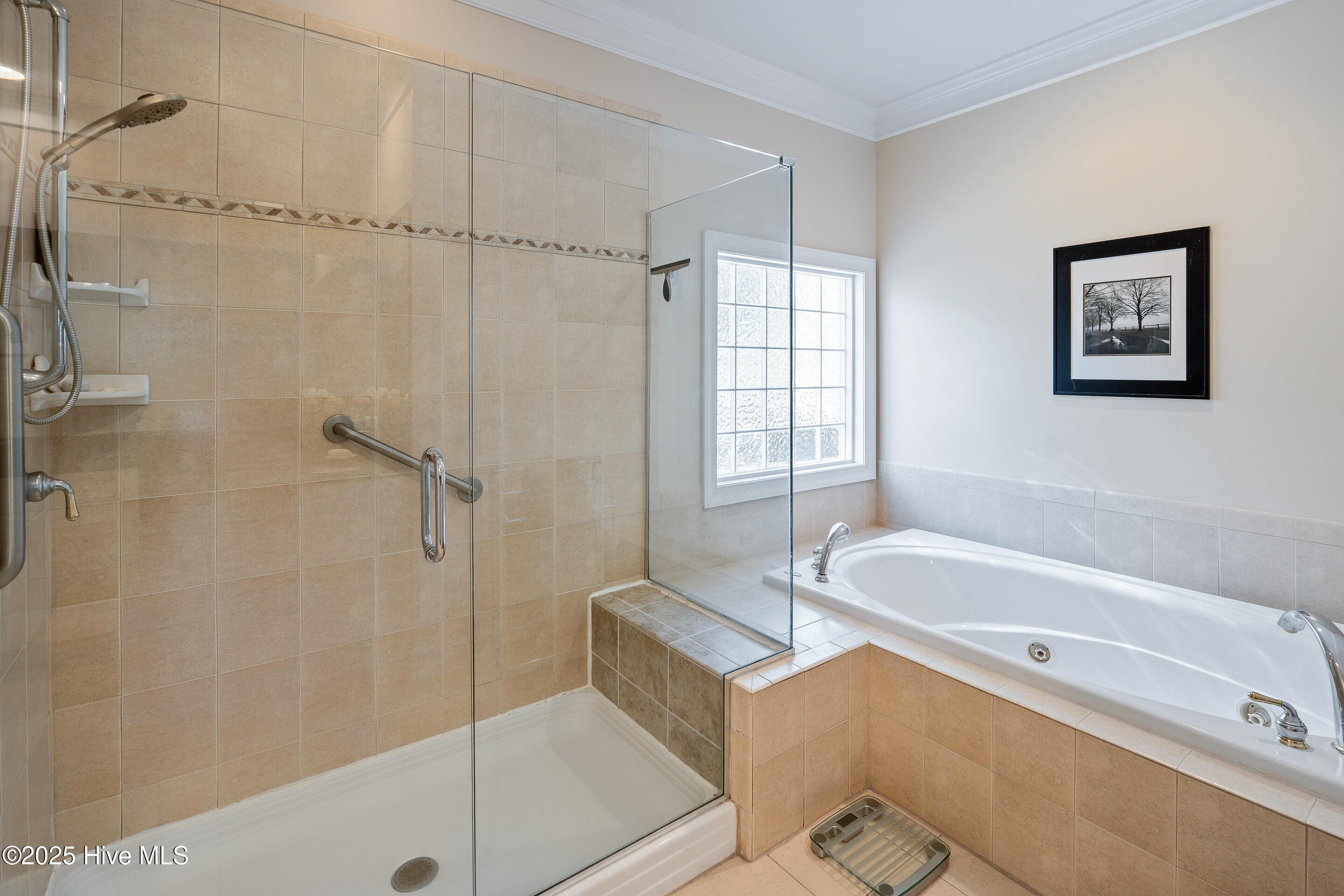 100535397 | Photo 36