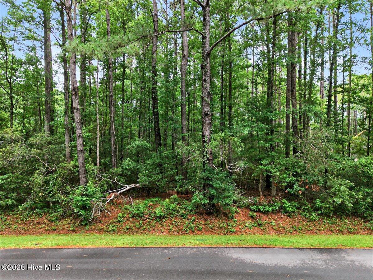 100553650 | Photo 18