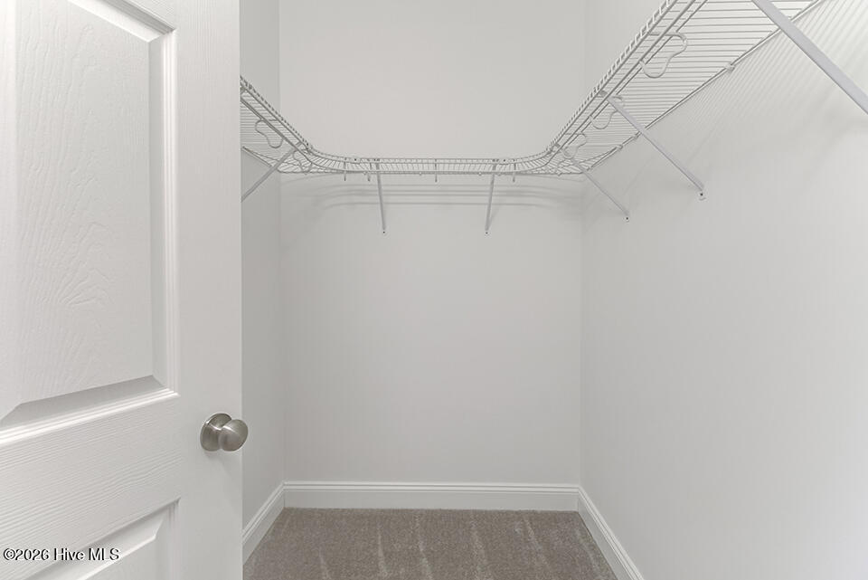 100555242 | Photo 16