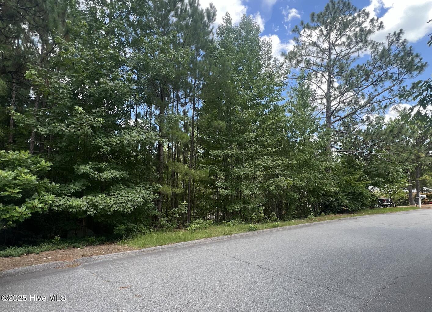 Screenshot 2025-07-03 at 3.09.35 PM