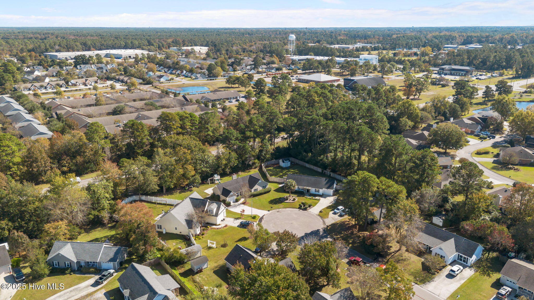 100535076 | Photo 24