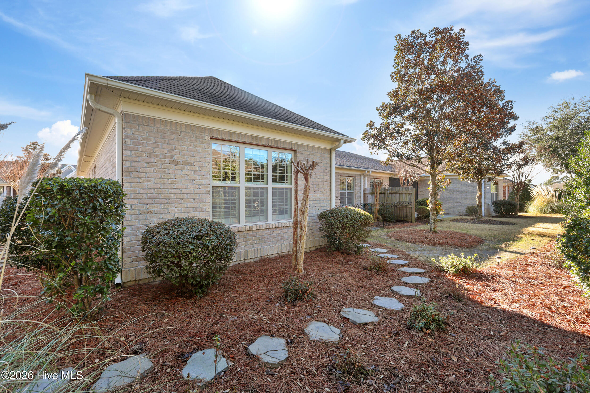 100551949 | Photo 16