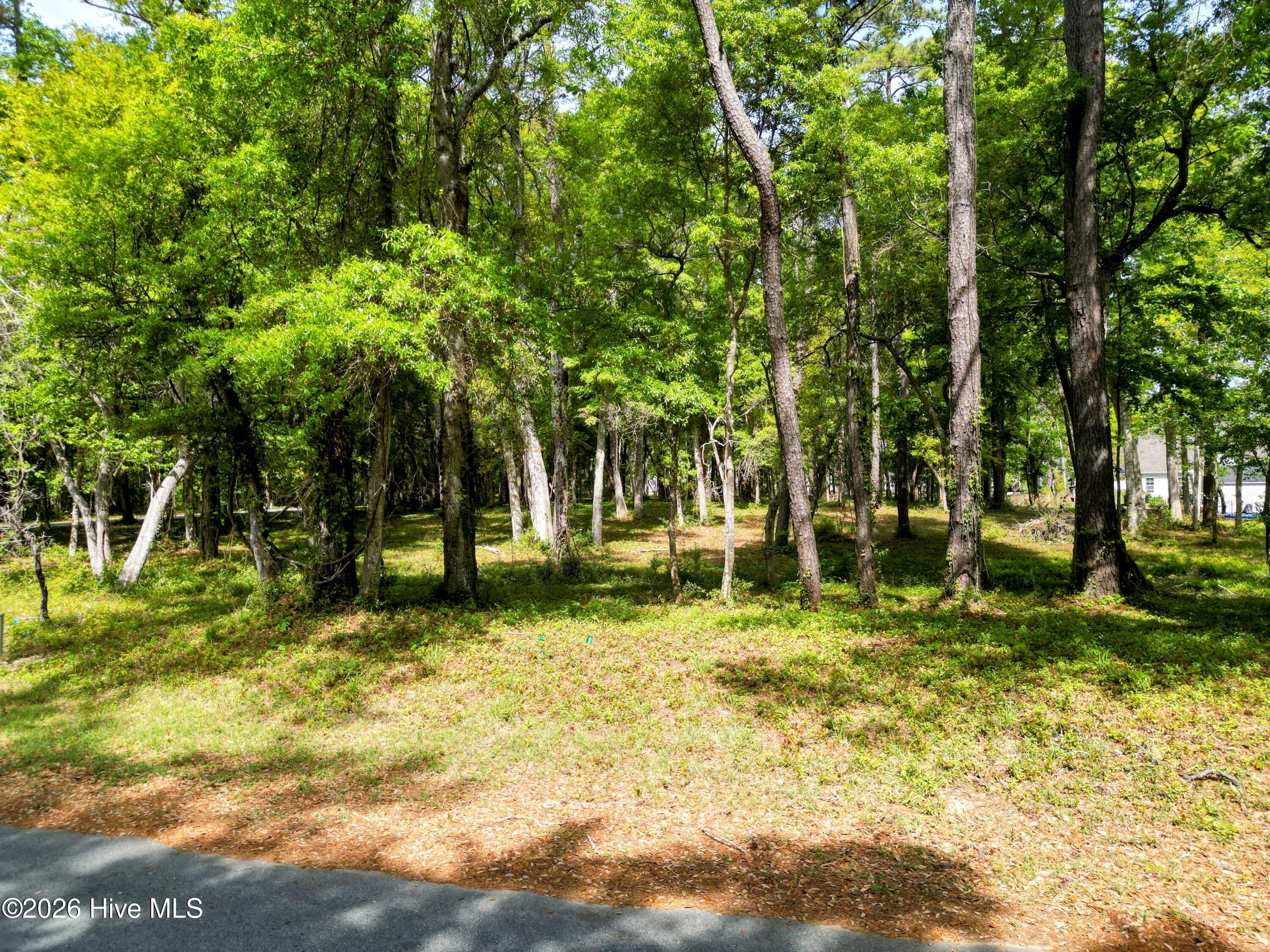 100567093 | Photo 10