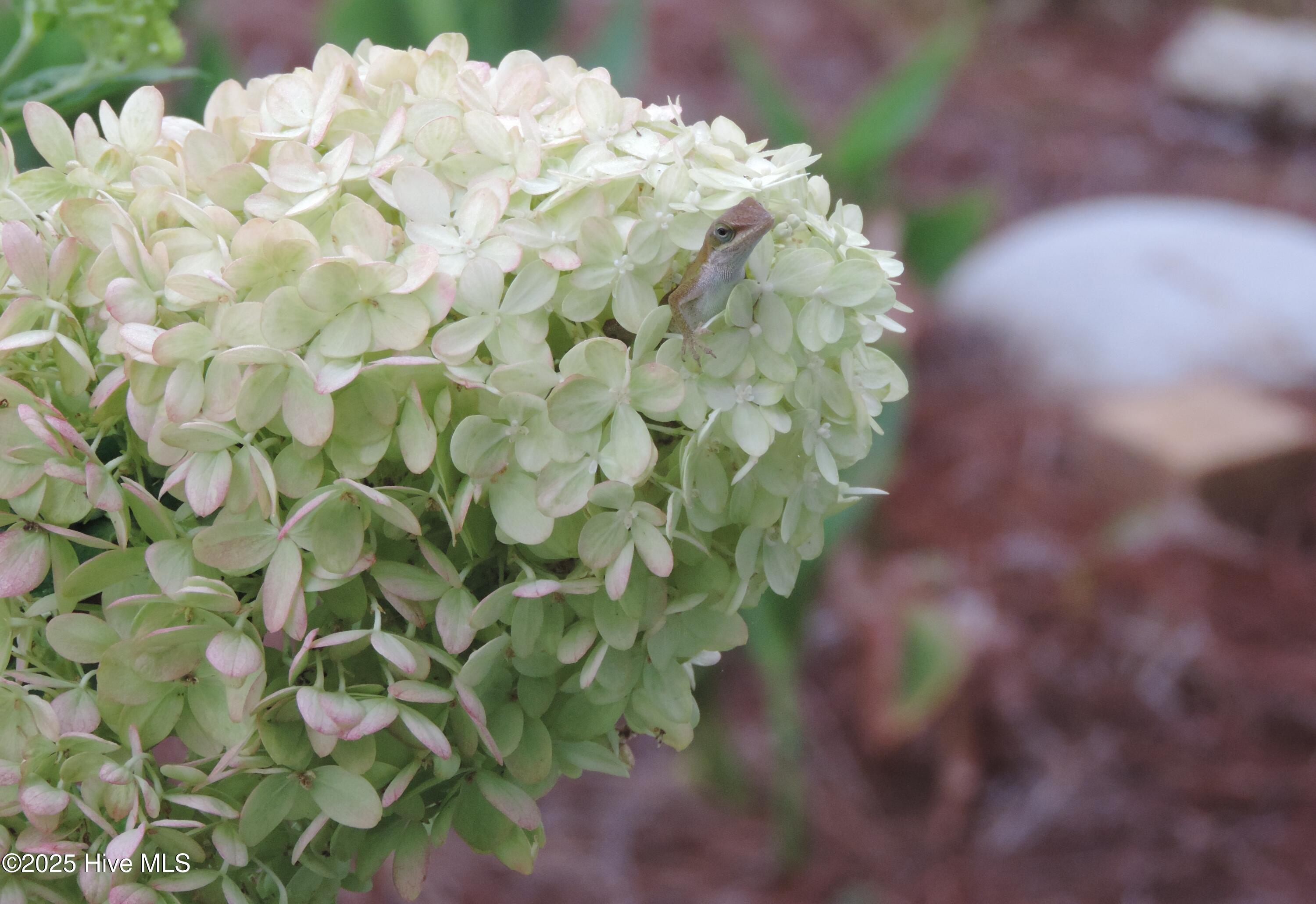 100534763 | Photo 49