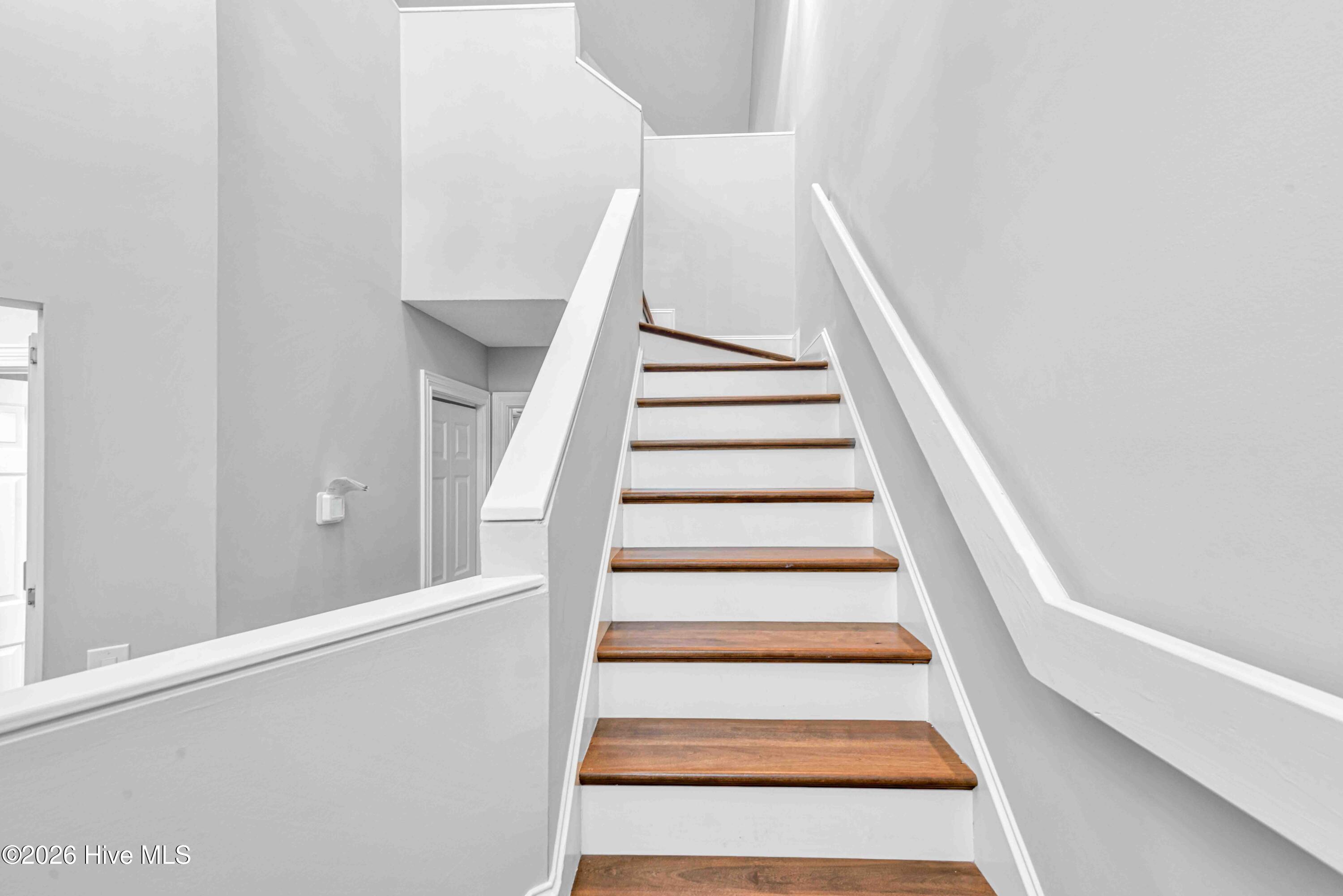 100555941 | Photo 25