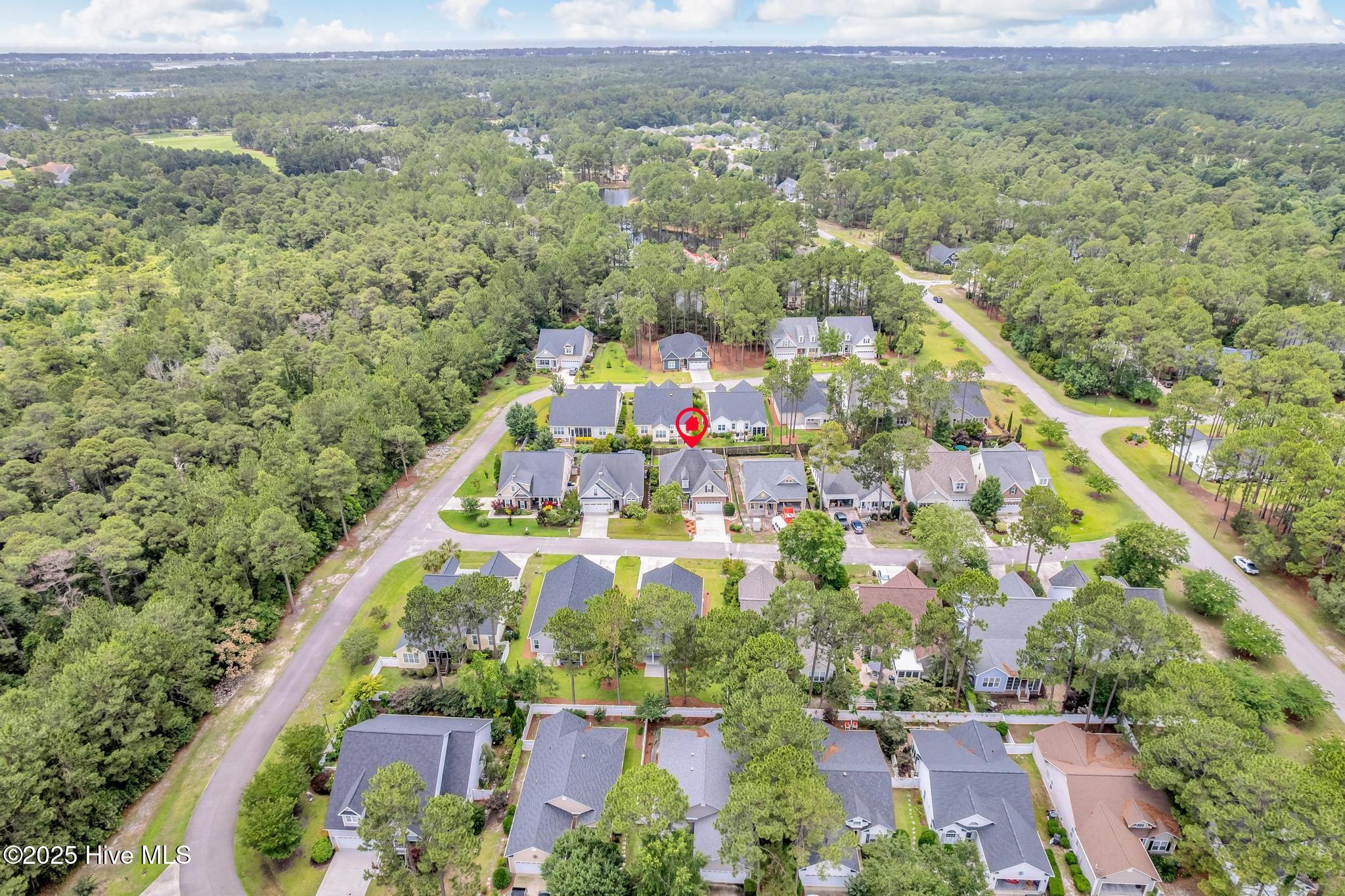 100513832 | Photo 43