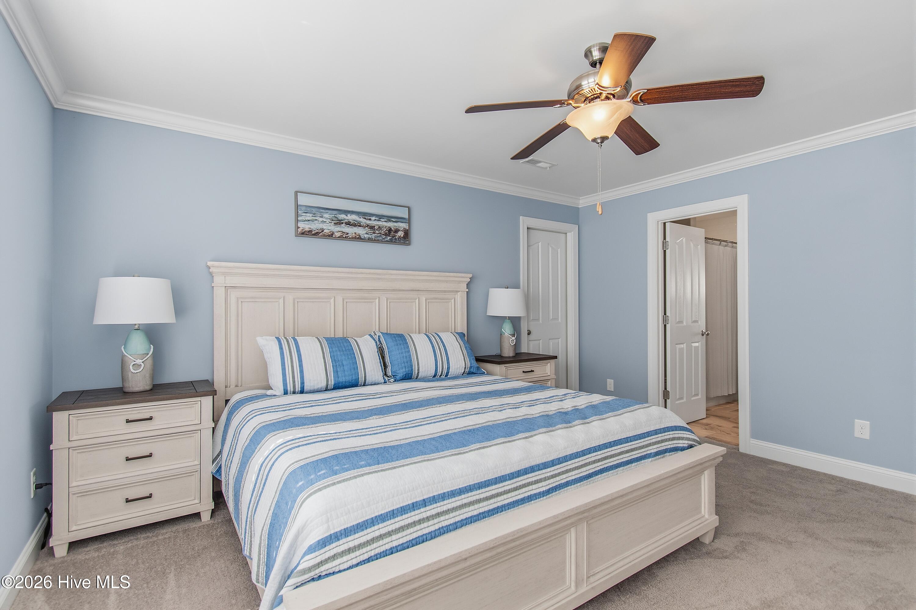 100563777 | Photo 31