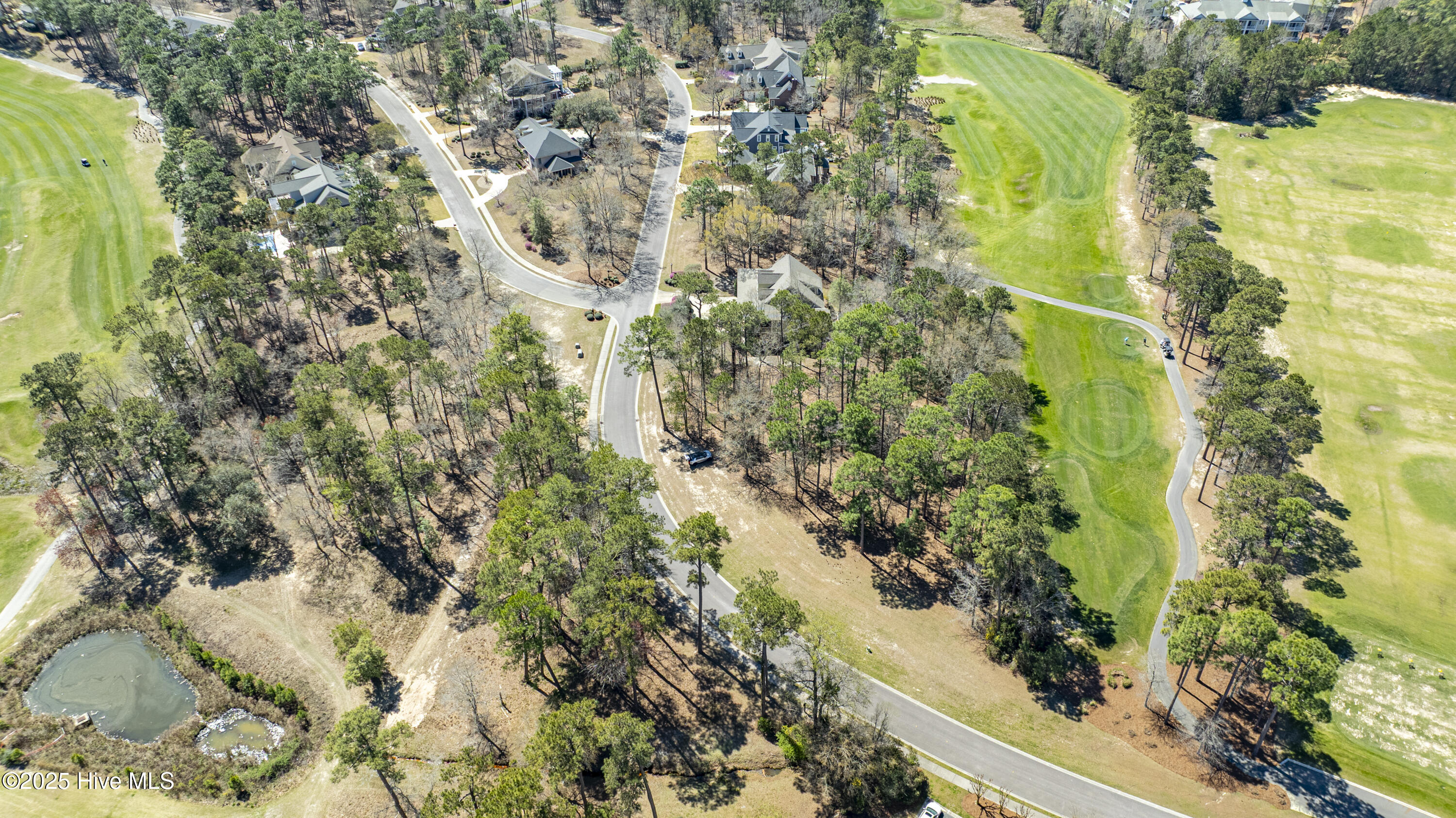 100498596 | Photo 27