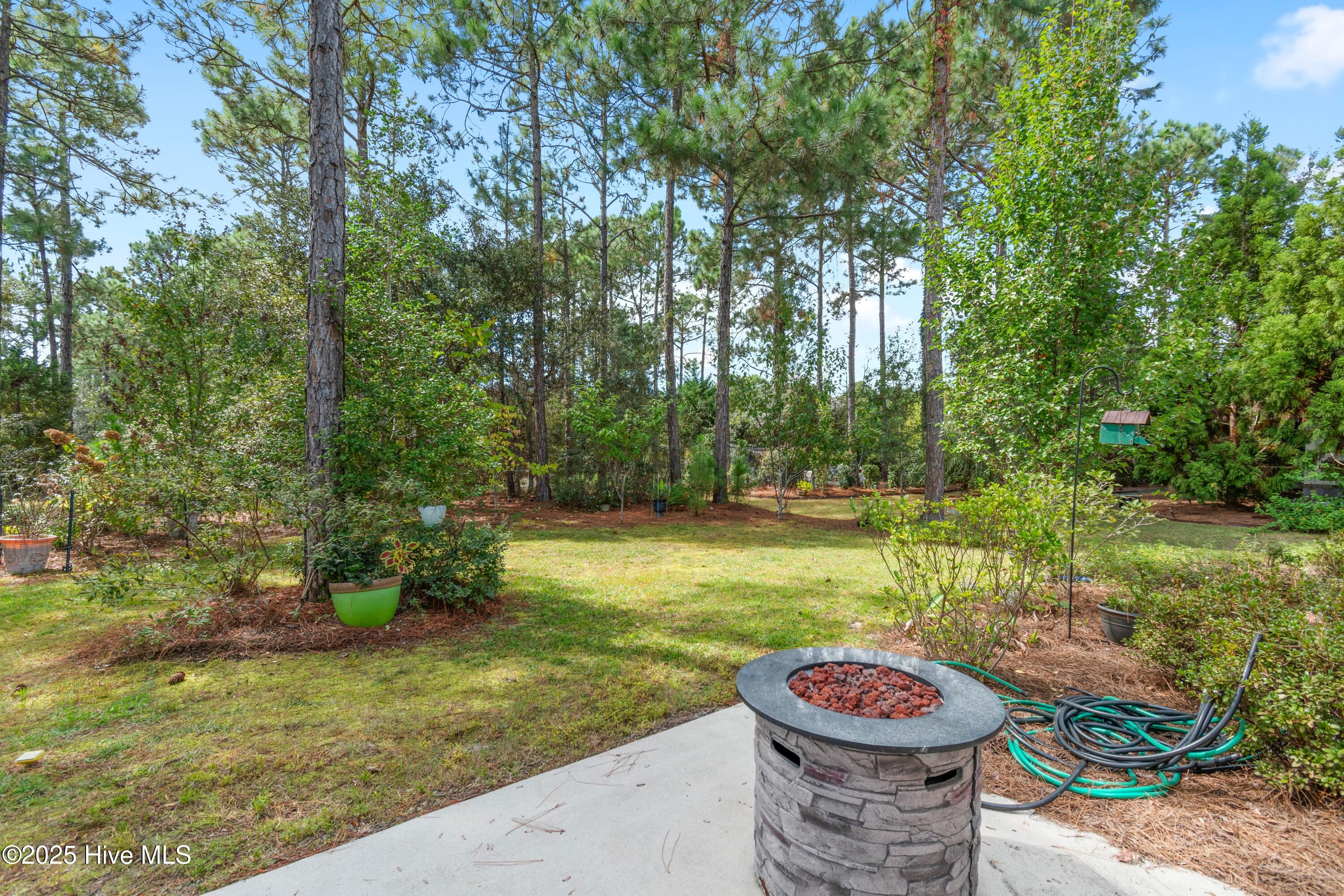 100534915 | Photo 14