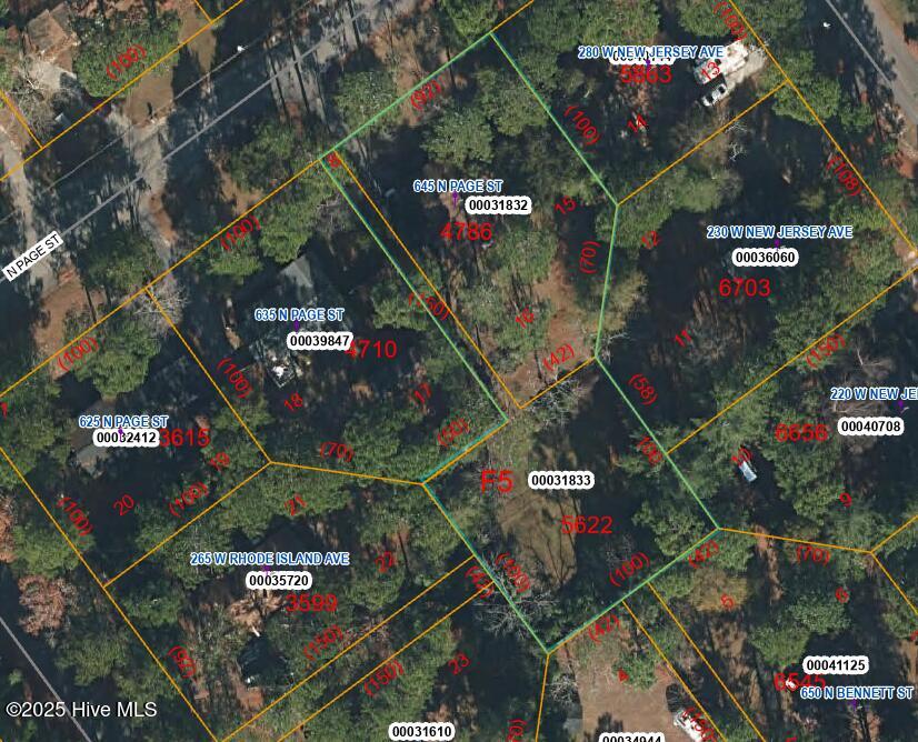 Homes for sale in Southern Pines, NC | 645 N Page St, Southern Pines, NC 28387 | MLS# 100541188