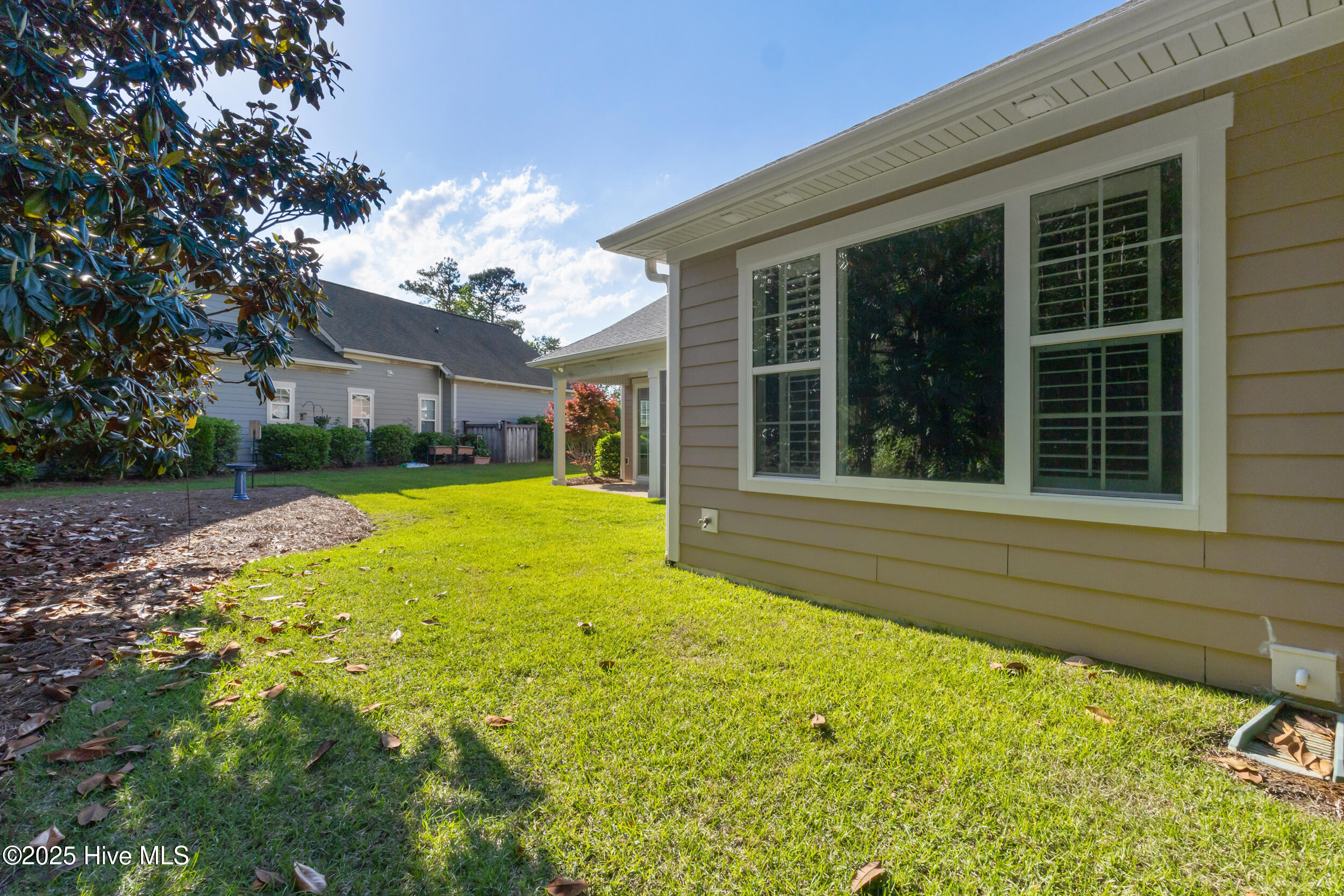 100506544 | Photo 48