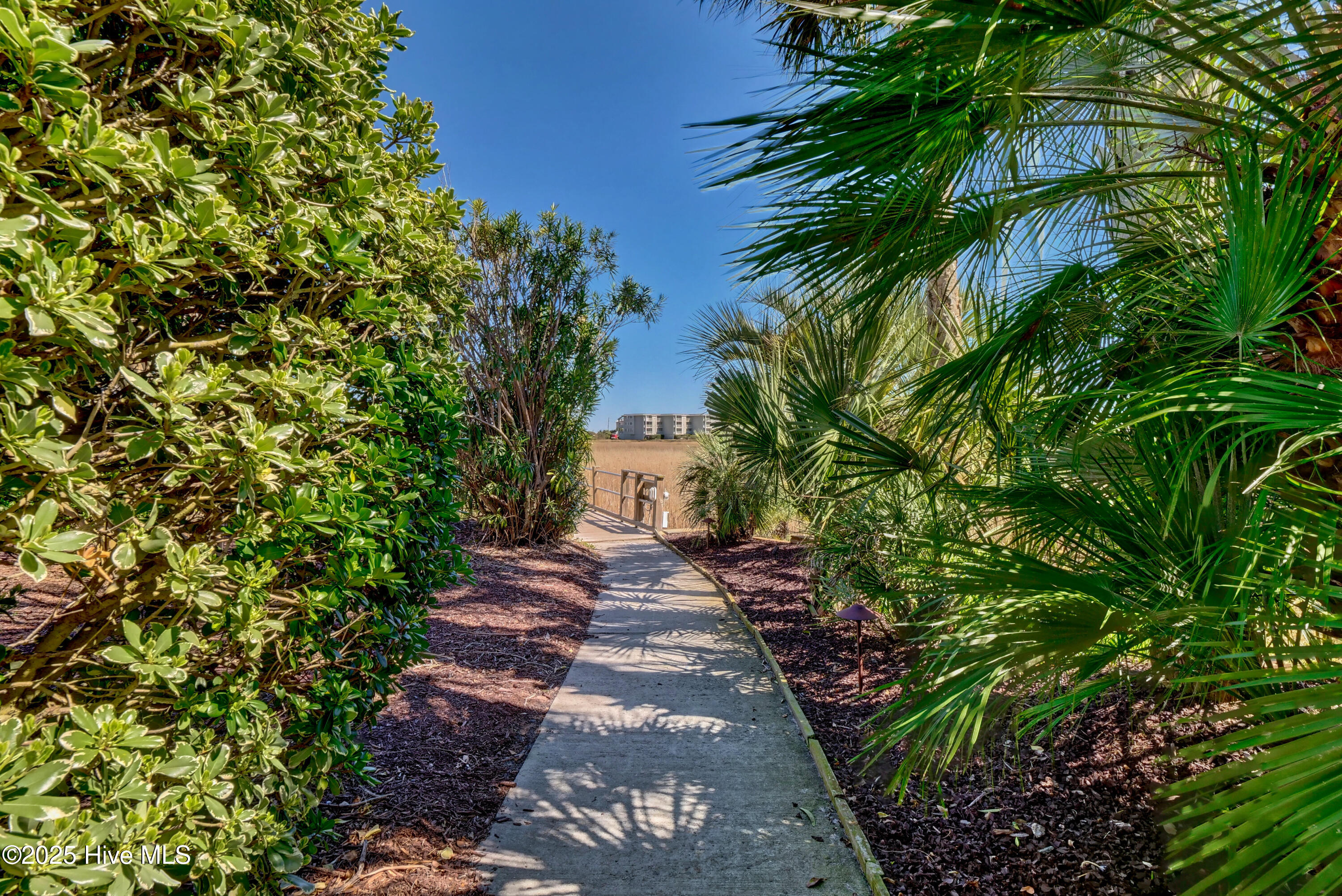 100516907 | Photo 47