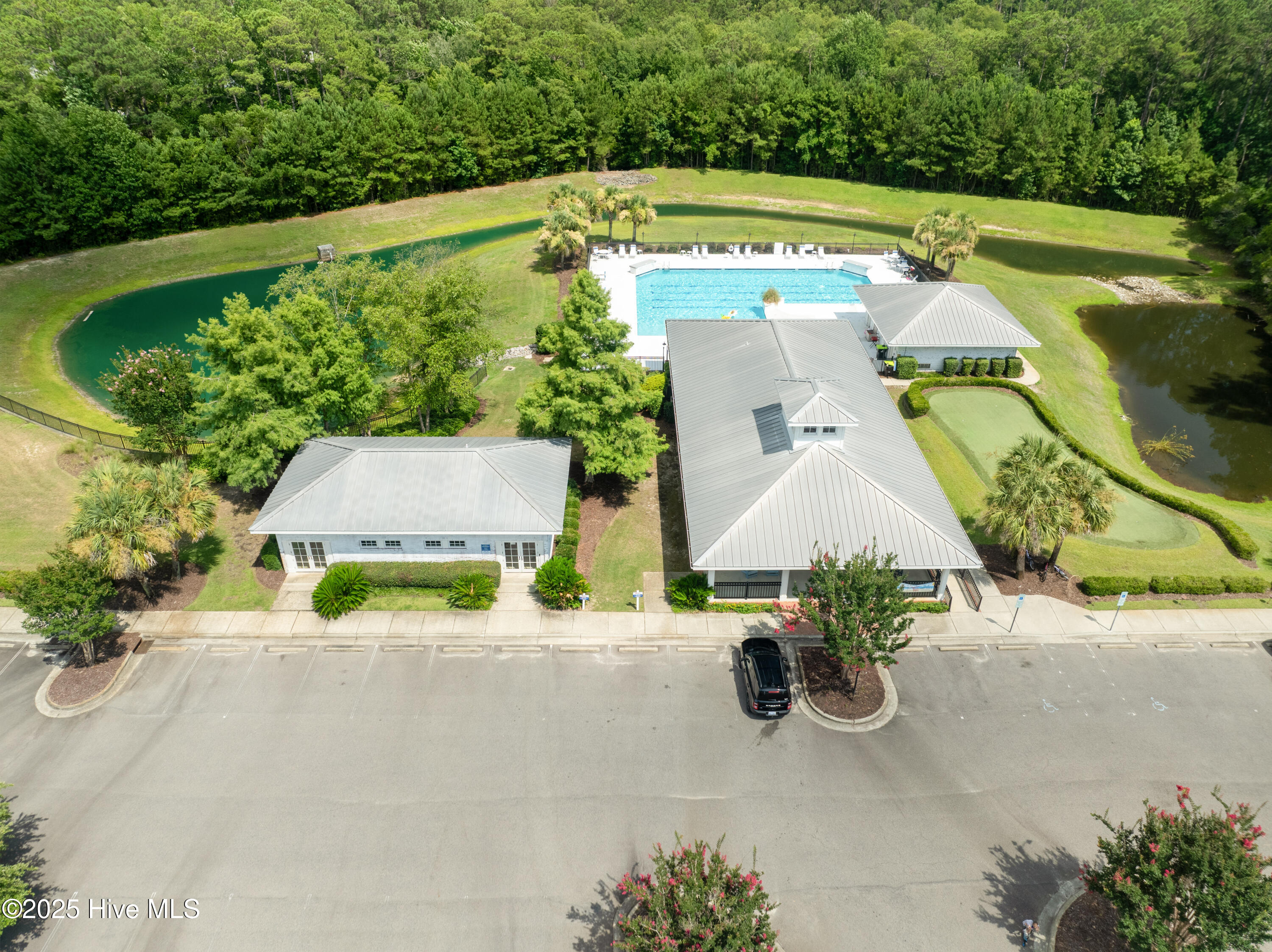 100487314 | Photo 12